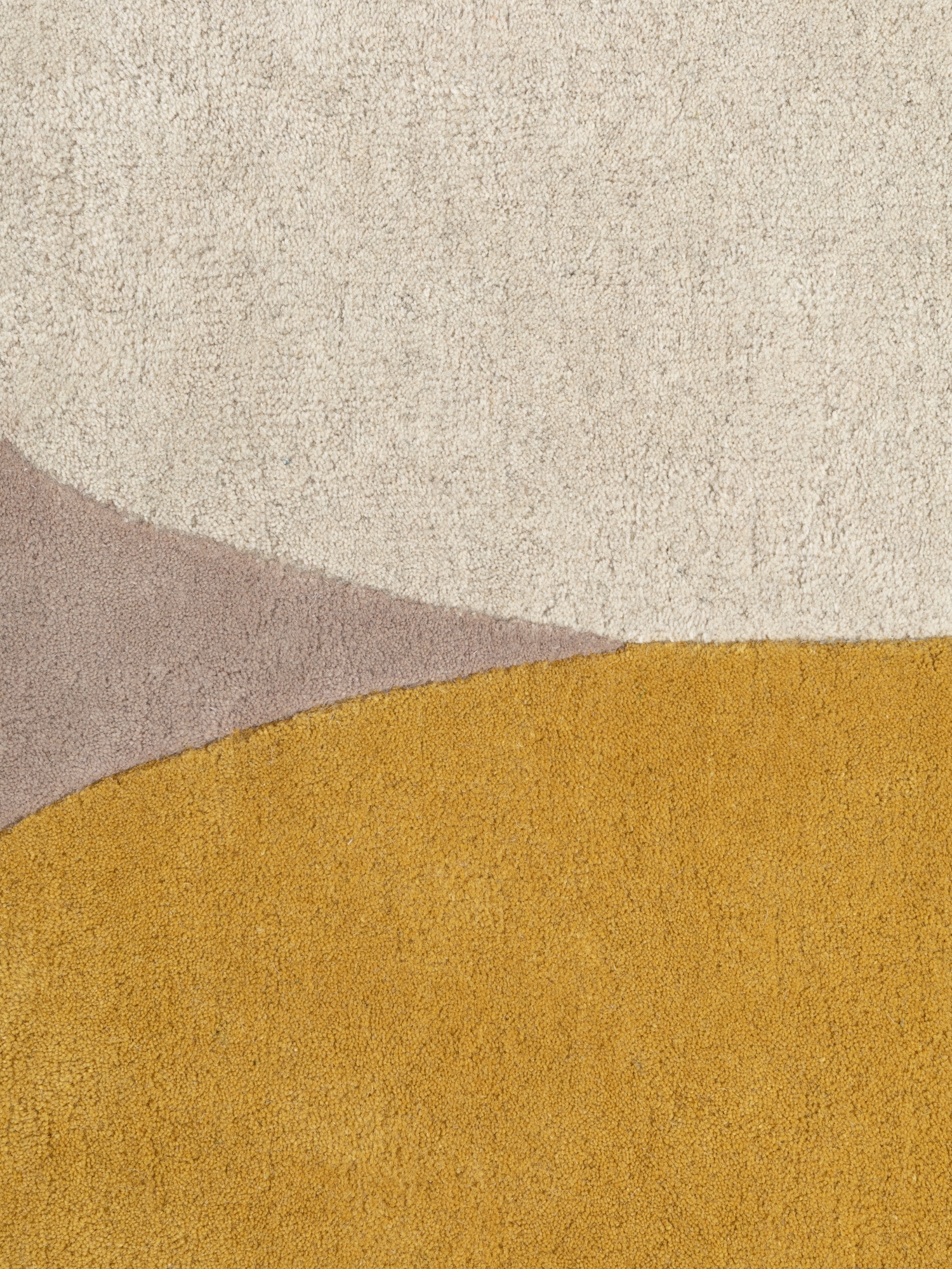 Ted Baker Tapis en laine »Cecil« Rectangulaire 17 mm Höhe Laine, tapis naturel, fait main, salon, chambre à coucher, coloré