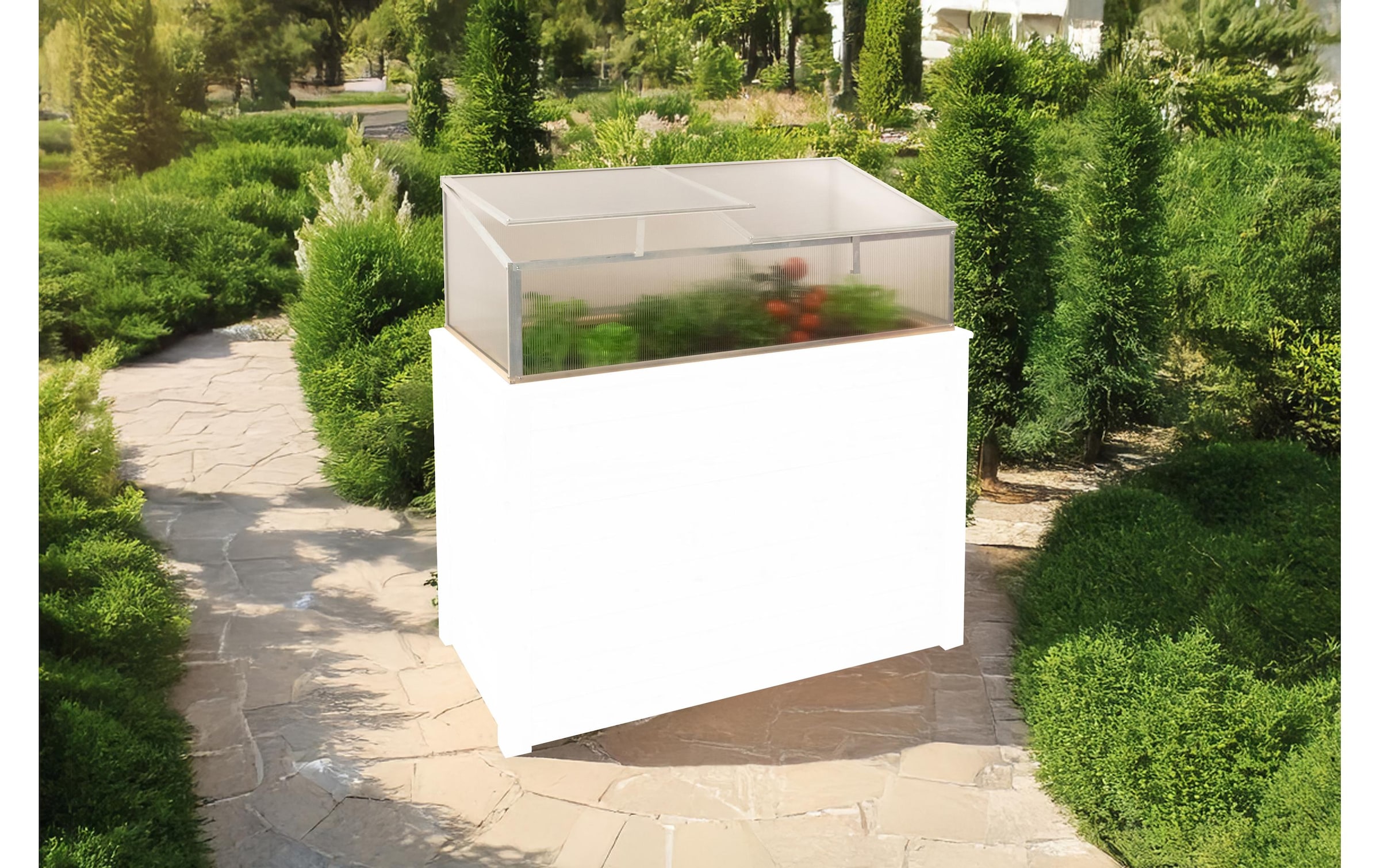 WESTMANN Frühbeet »Genus 100« BxTxH: 95x62x41 cm