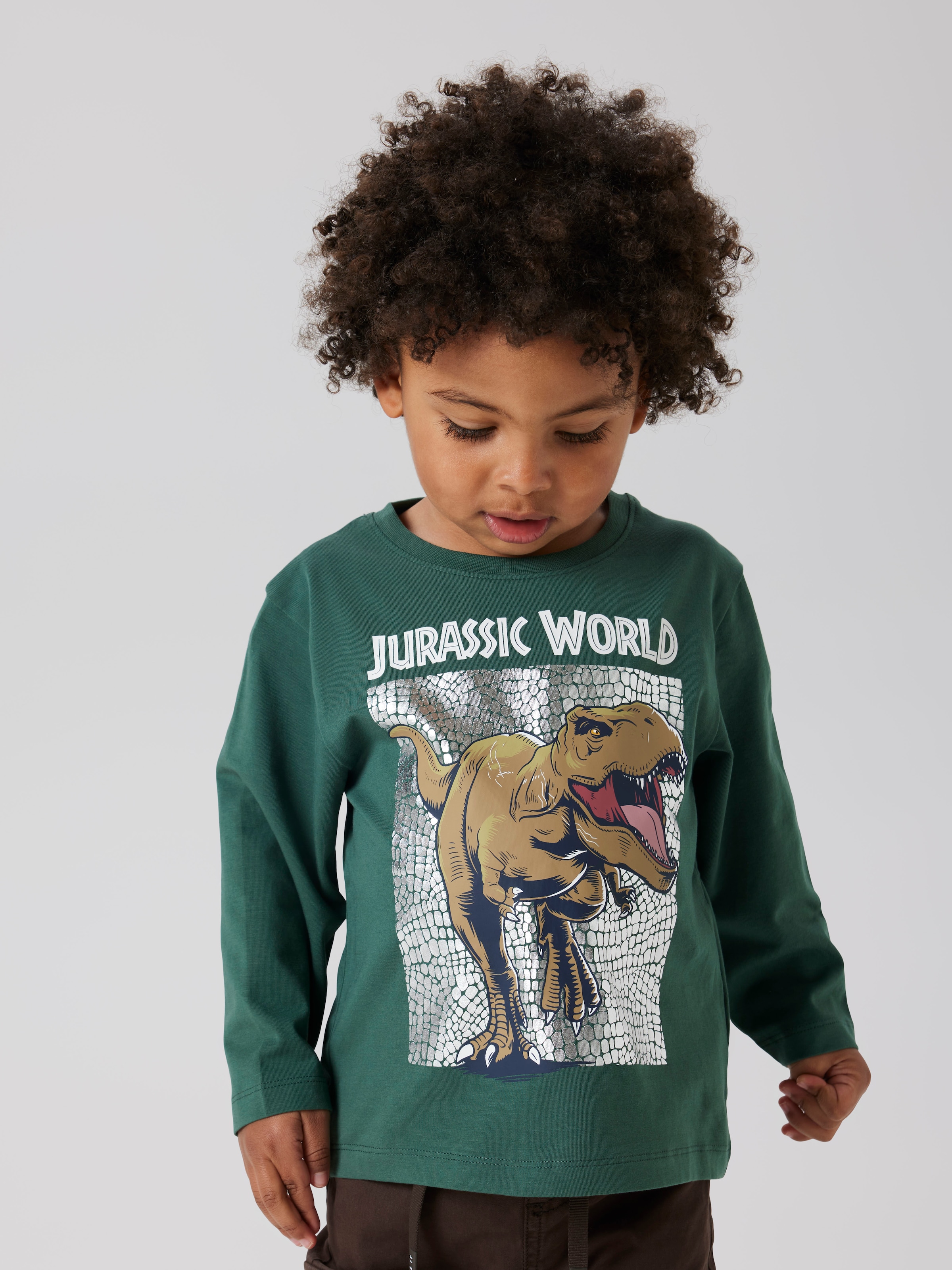 Image of Name It Langarmshirt "NMMJEWEL JURASSIC NREG LS TOP NOOS SKY"