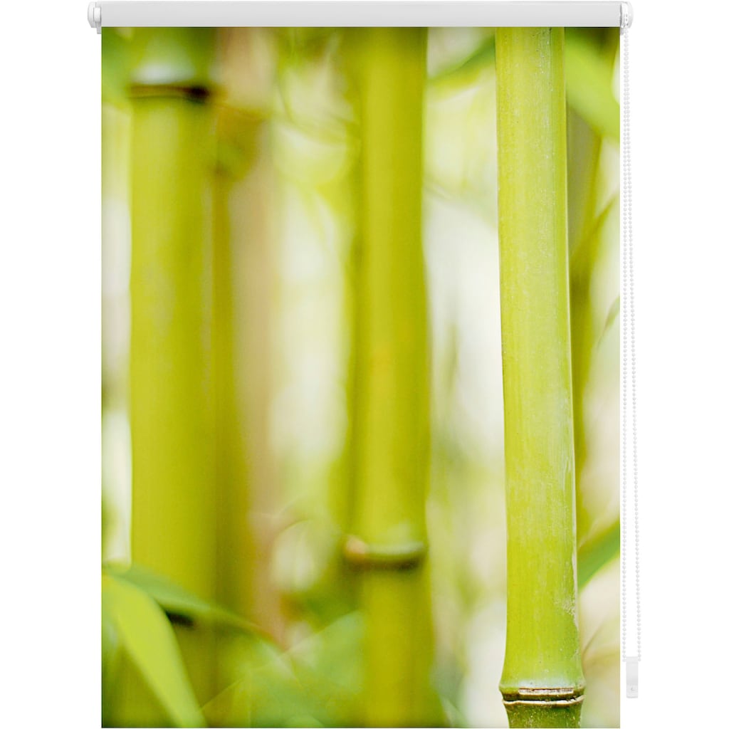 LICHTBLICK ORIGINAL Seitenzugrollo »Klemmfix Motiv Bambus«, Lichtschutz, ohne Bohren, freihängend, bedruckt