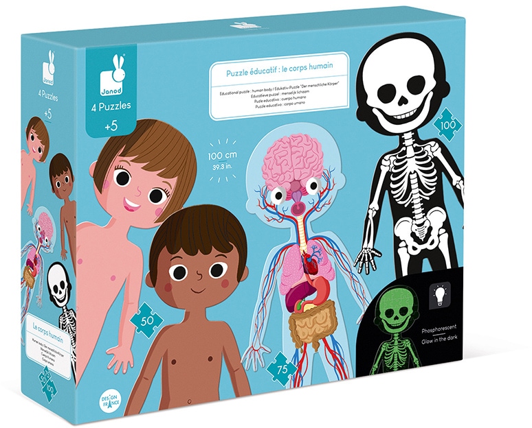 Image of Janod Konturenpuzzle »Der menschliche Körper« bei Ackermann Versand Schweiz