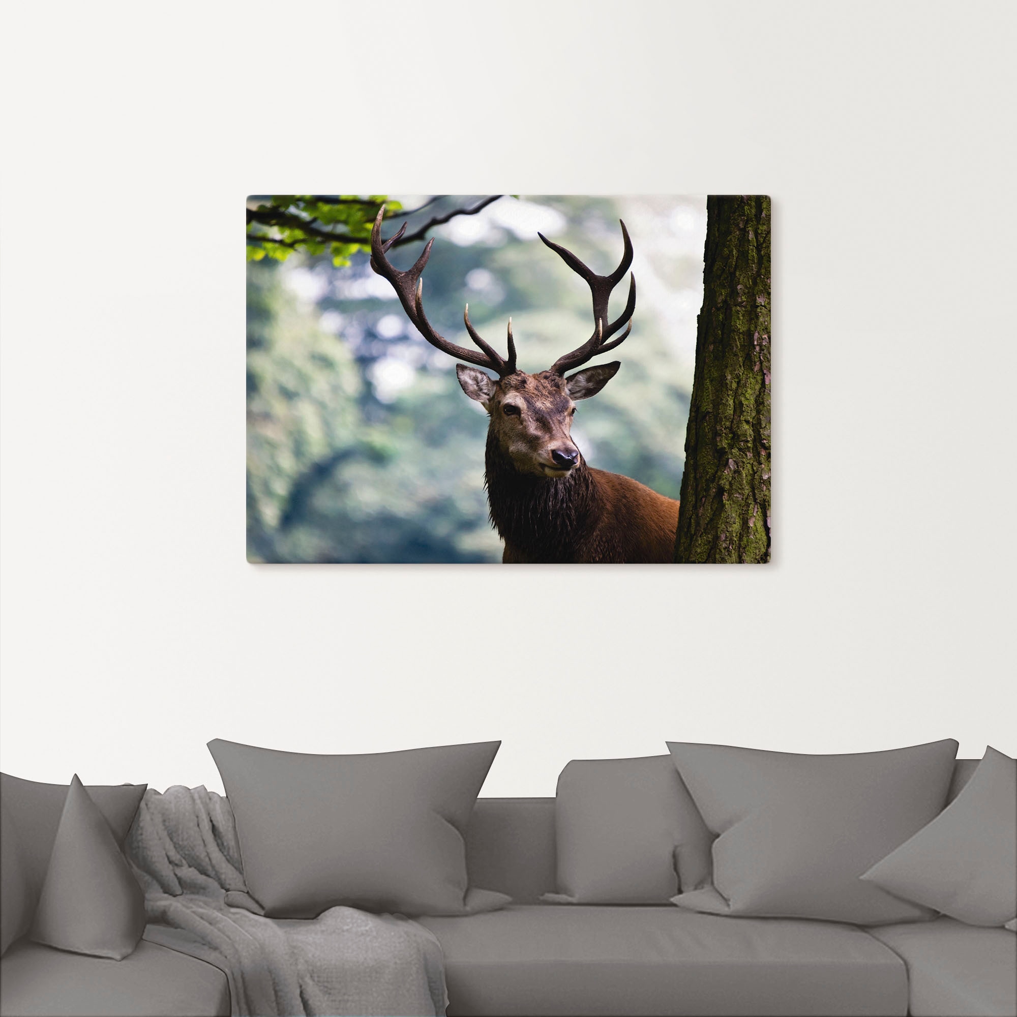 Artland Leinwandbild »Hirsch« Wildtiere 1 Stk. tlg. auf Holzrahmen gespannt