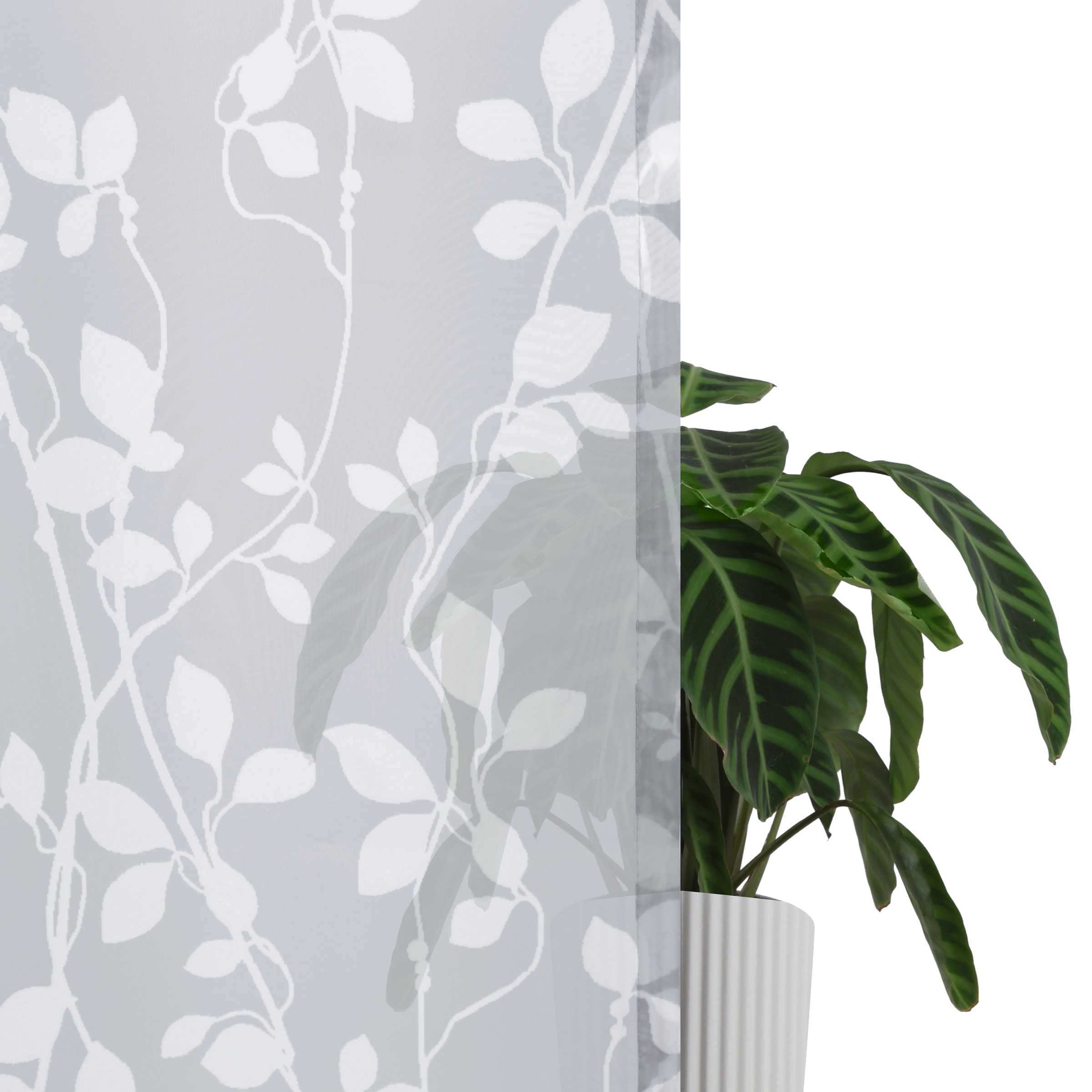 my home Rideau »Issoire« Bande multifonctionnelle 1 cuis tlg. Wohnzimmer, Schlafzimmer, Esszimmer, gemustert und halbtransparent