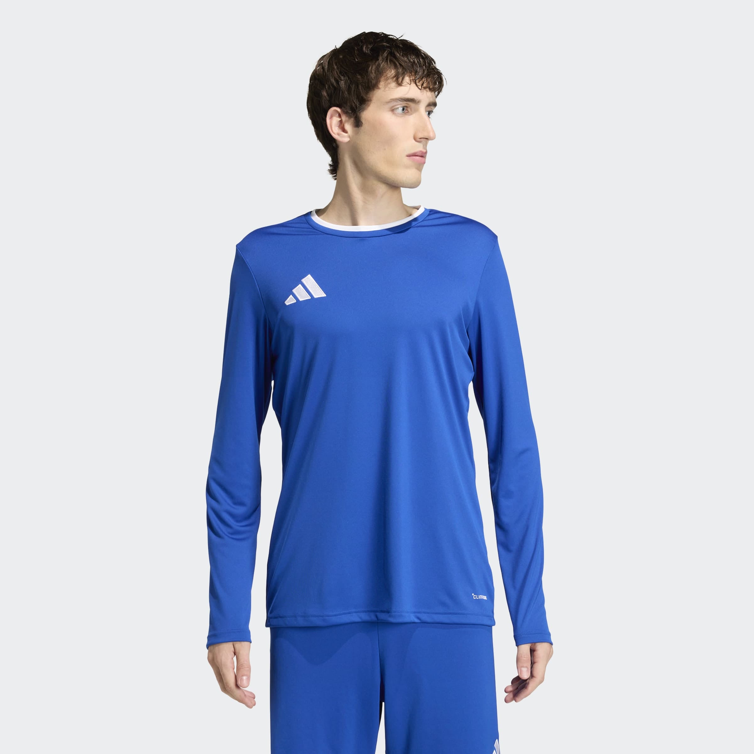 adidas Performance Fussballtrikot »ENTRADA26 LANGARMJERSEY«