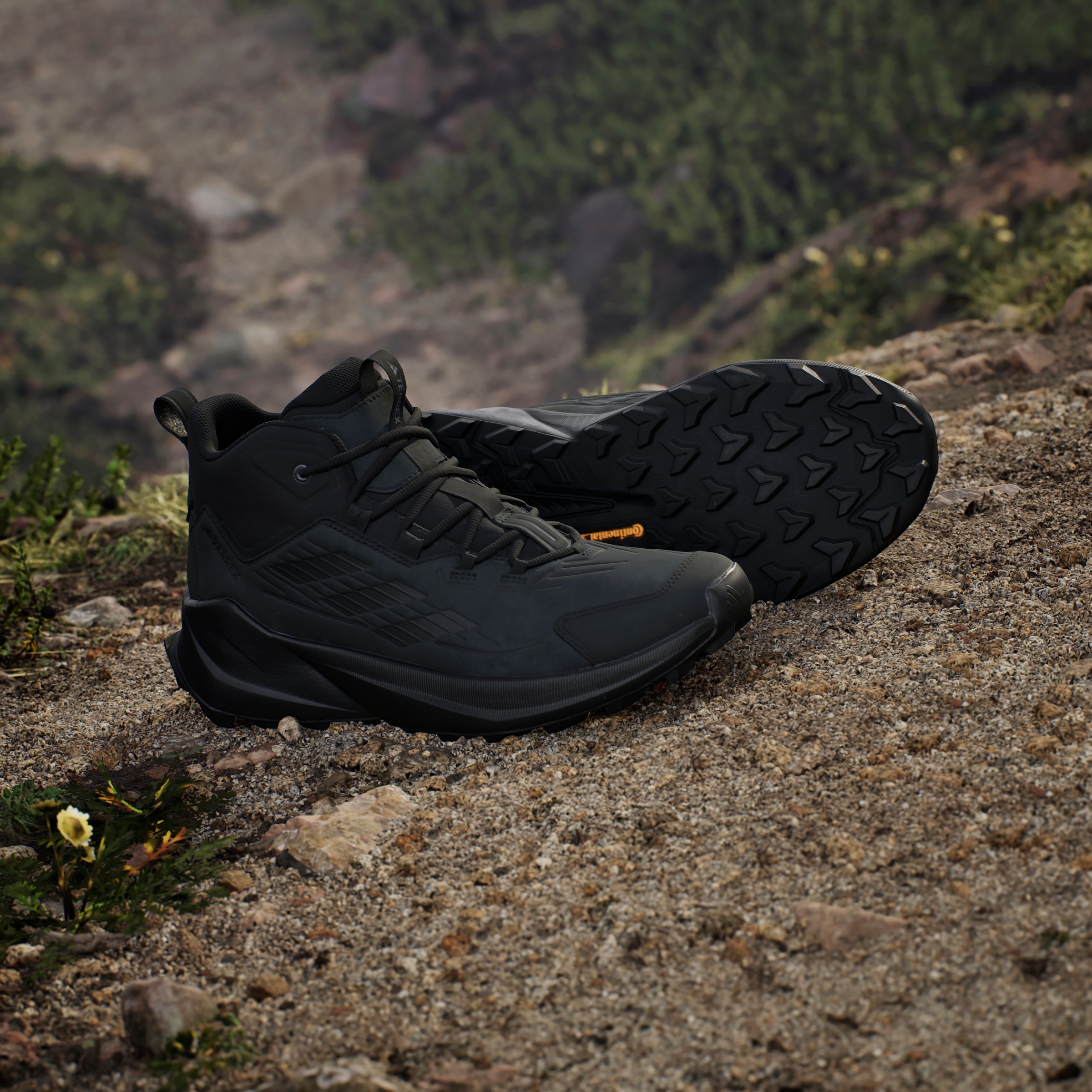 adidas TERREX Wanderschuh »TERREX TRAILMAKER 2.0 LEATHER«