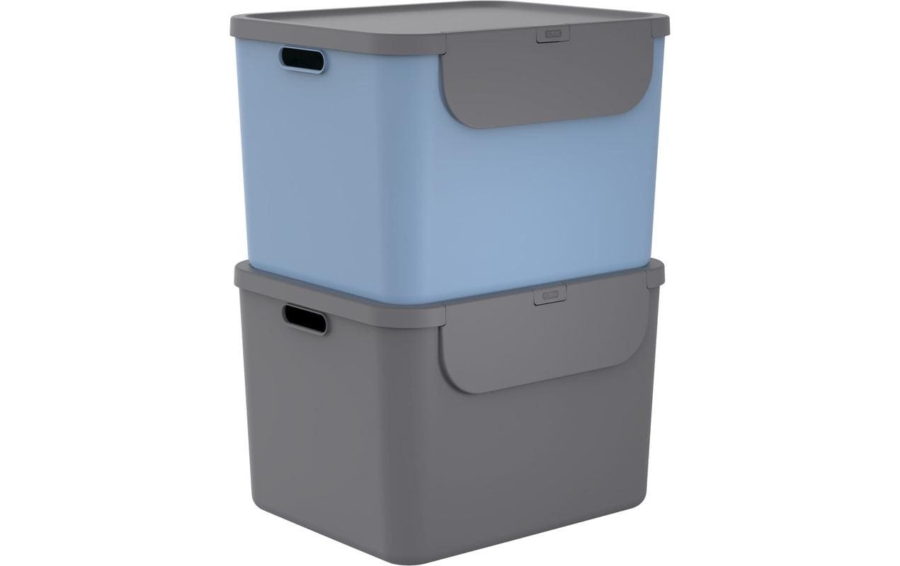Image of ROTHO Mülleimer "Rotho Recyclingbehälter ALBULA 2 tlg. 110 l" 2 Behälter