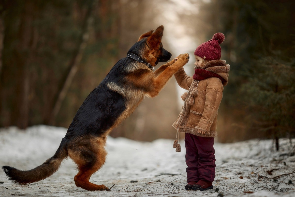 Papermoon Papier peint photo »Garten«