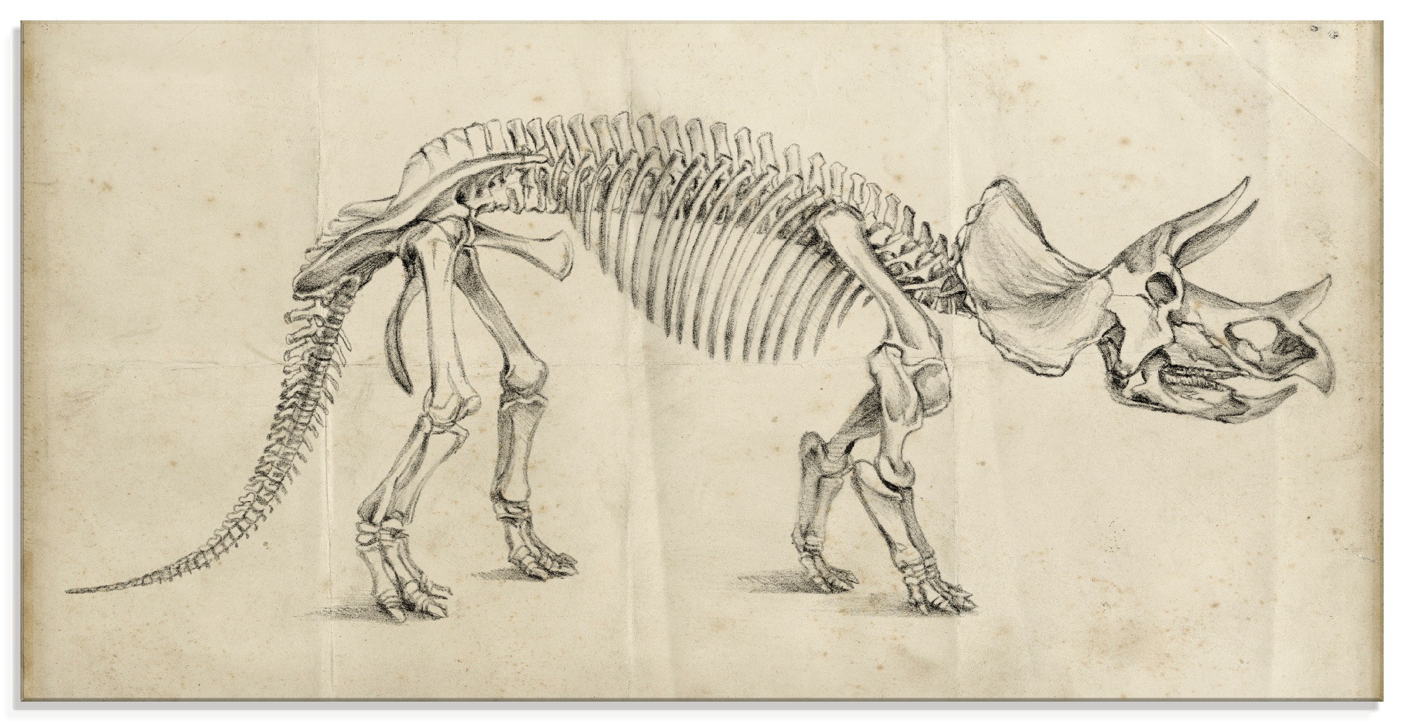 Image of Artland Glasbild »Dinosauria Lehre II«, Dinosaurier, (1 St.) bei Ackermann Versand Schweiz