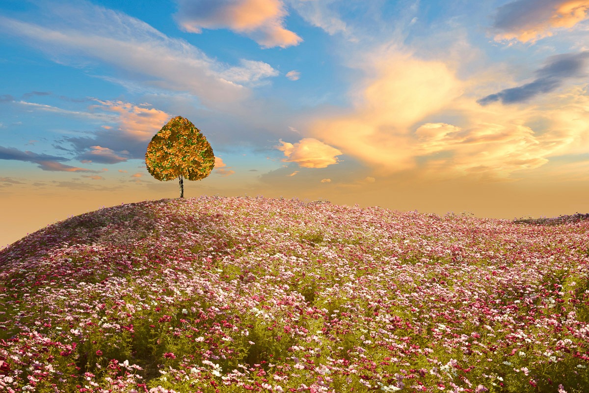 Image of Papermoon Fototapete »Herzbaumwiese«, Vliestapete, hochwertiger Digitaldruck, inklusive Kleister bei Ackermann Versand Schweiz