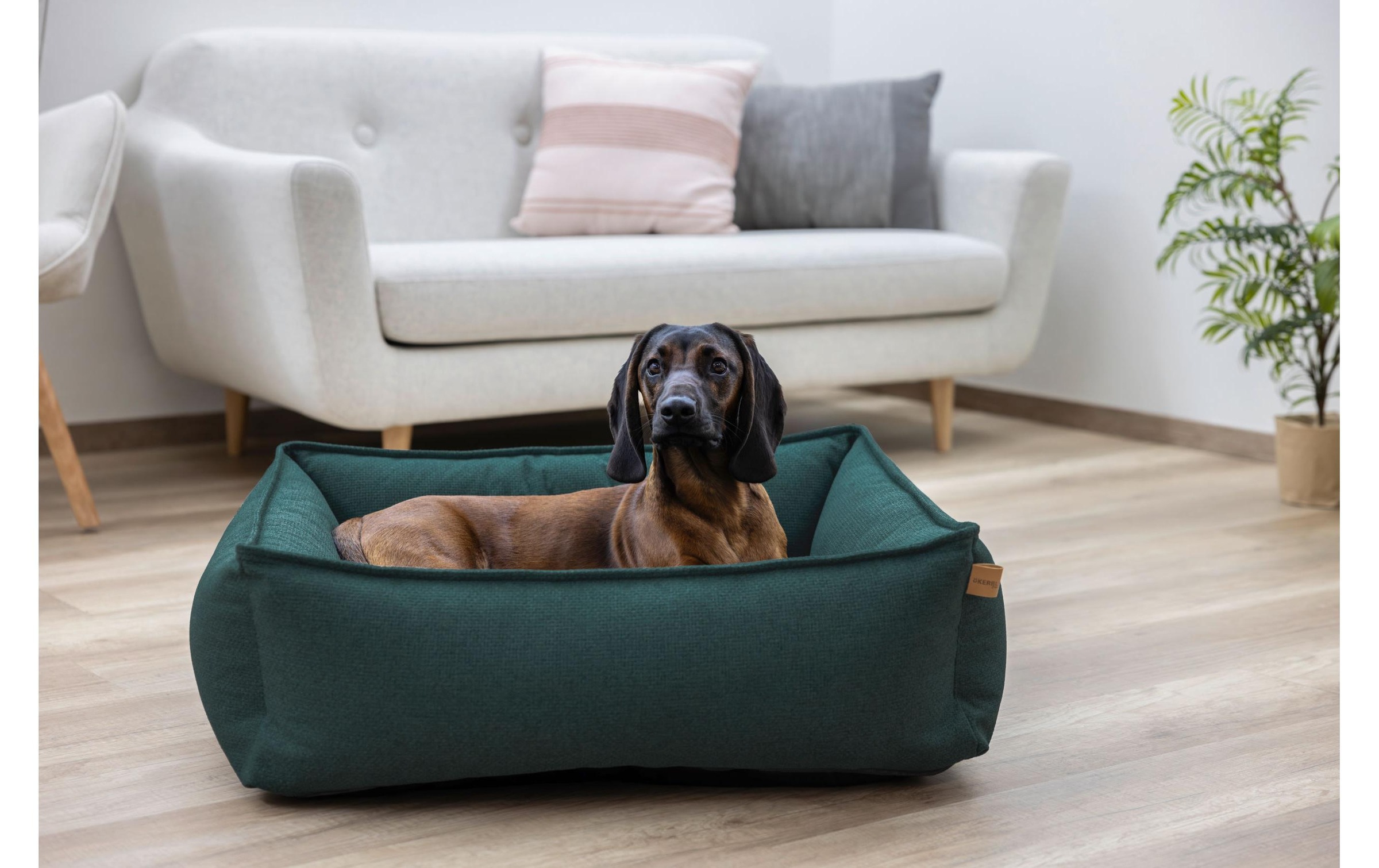 Kerbl Lit pour animal »Oliver 85 x 110 cm«