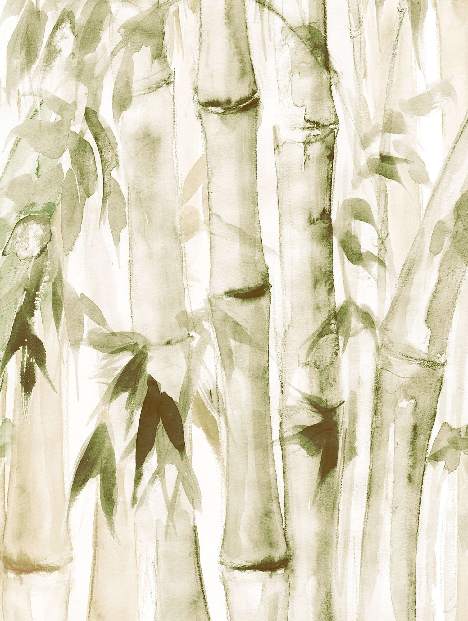 Poster »Wild Bamboo«, (1 St.), Kinderzimmer, Schlafzimmer, Wohnzimmer