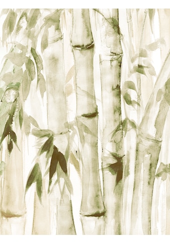 Poster »Wild Bamboo«, (1 St.)