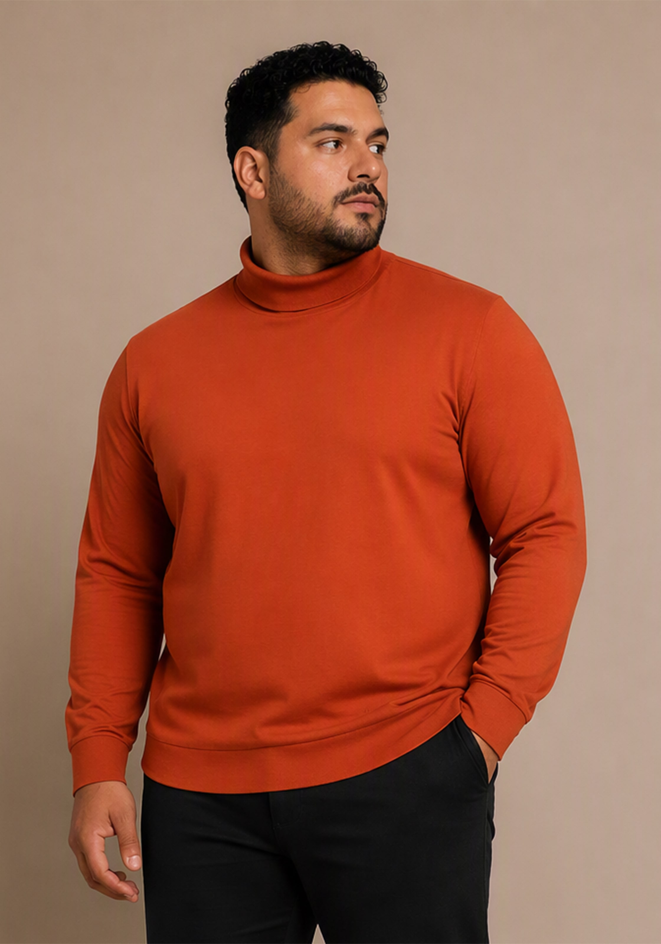 Man's World Plus Rollkragenshirt »auch in Grosse Grössen bis Gr. 7XL Bauch-Fit« Regular Fit, Langarm, unifarbenes Basic-Stil