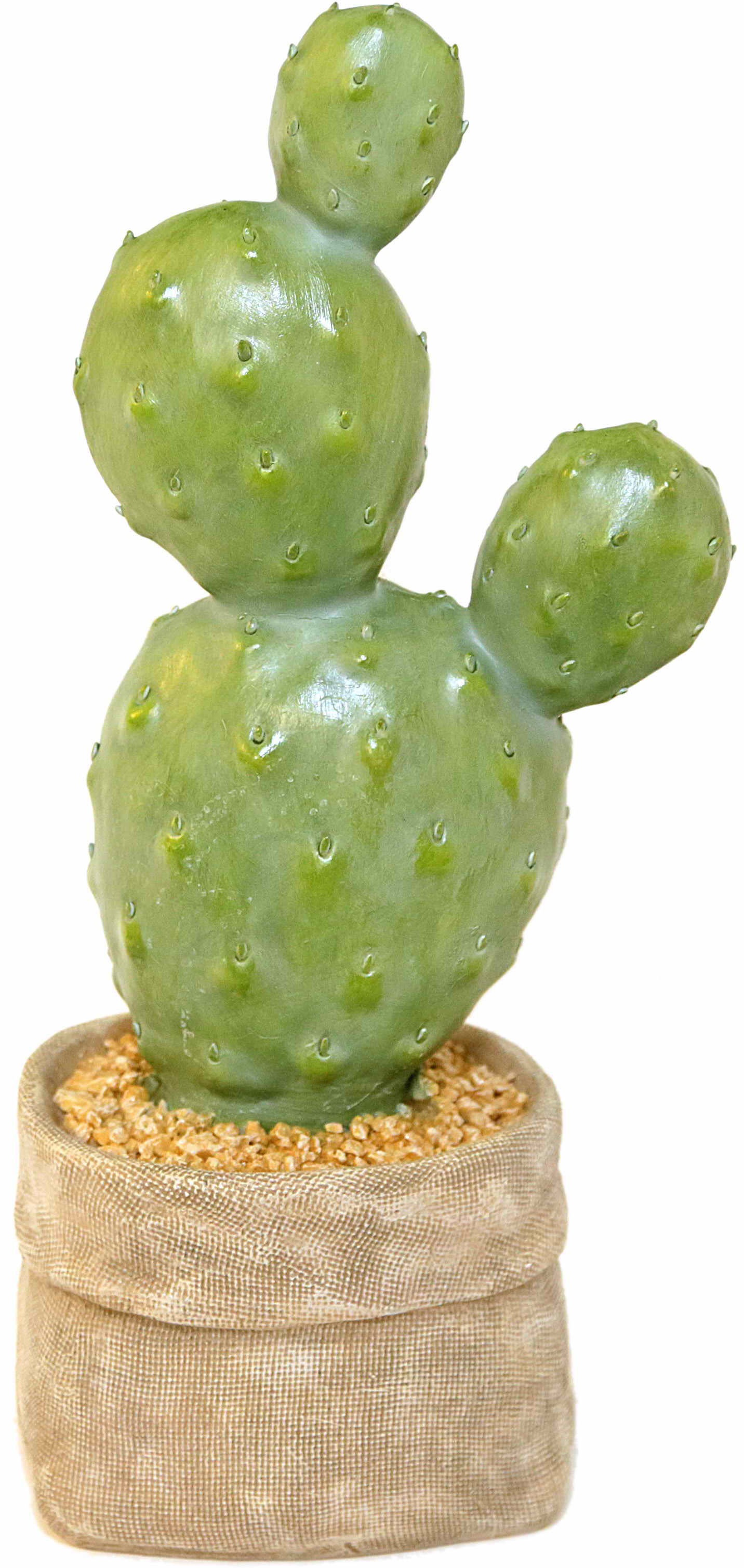 Image of Casa Collection by Jänig Fensterdekoration »Kaktus, Höhe: 33,5cm«, (1 St.) bei Ackermann Versand Schweiz