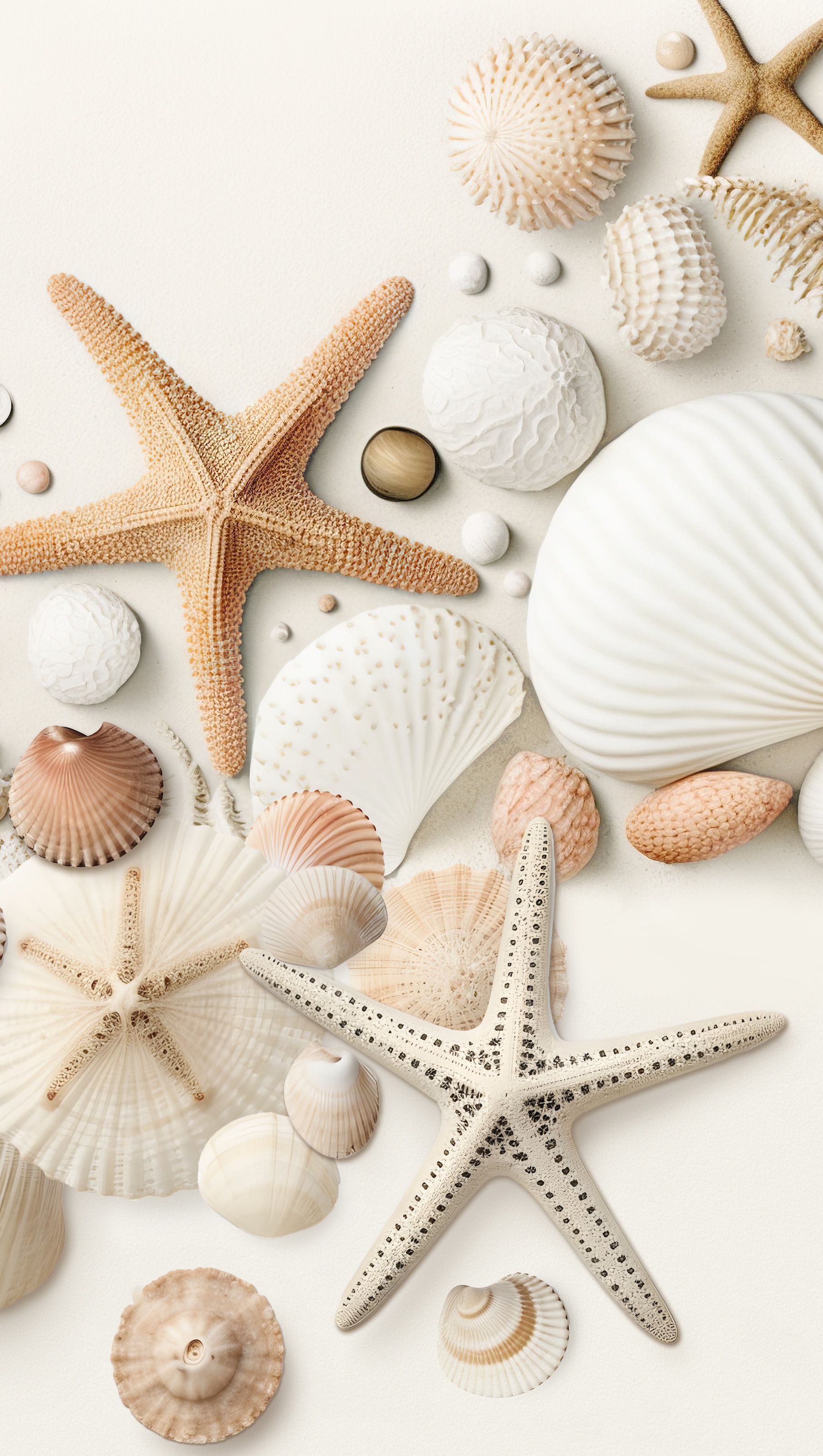 good morning Serviette de plage »Cote« Mikrofaser, Velours, Strandtuch, saugfähig, leicht, 100x180