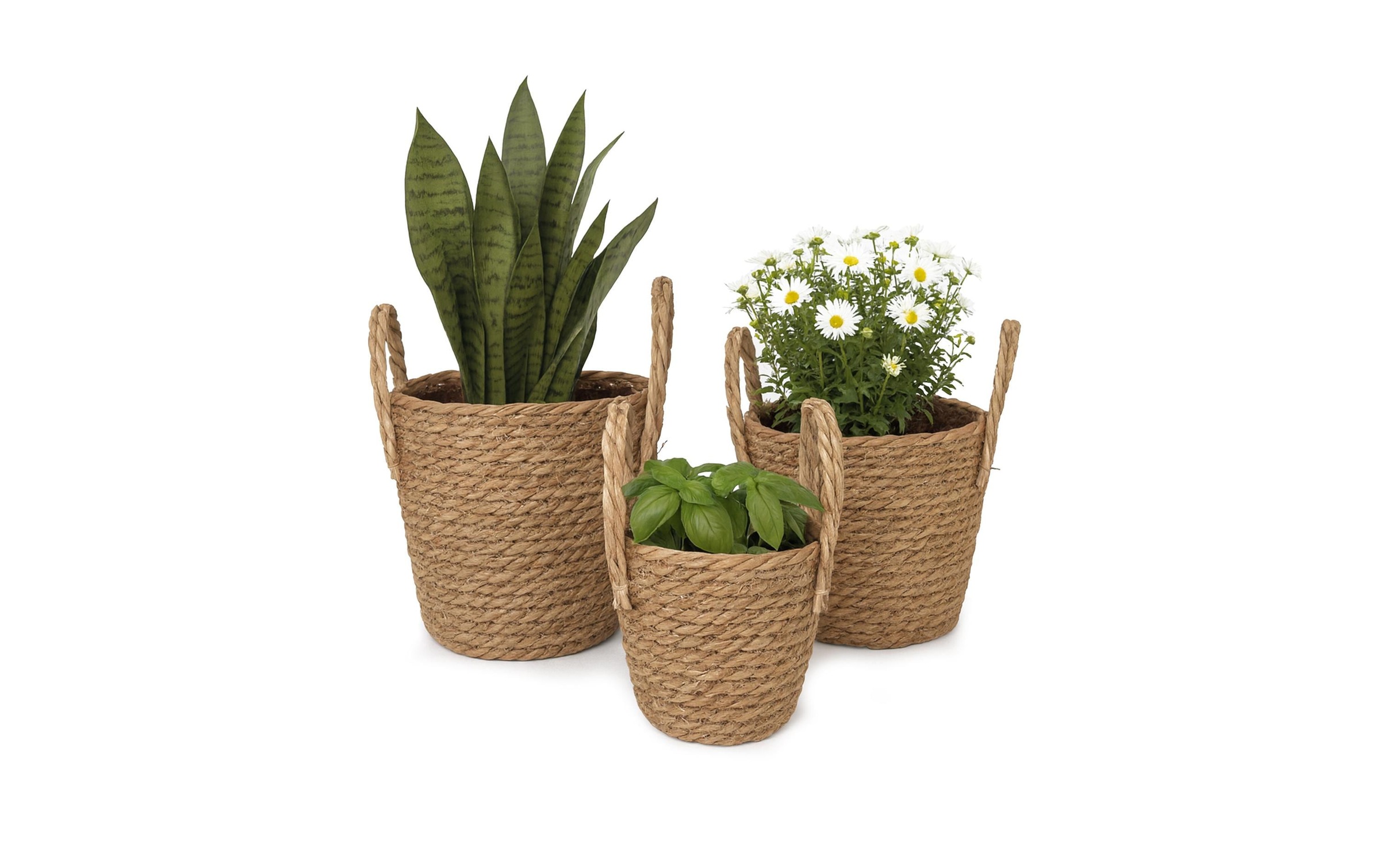 Image of relaxdays Blumentopf "im 3er Set, rund"