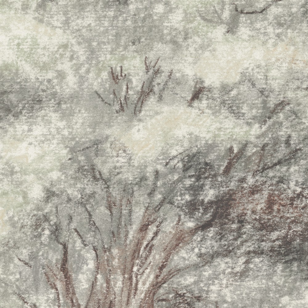 Komar Papier peint photo »Vlies Fototapete - Grove - Grösse 350 x 250 cm« imprimé