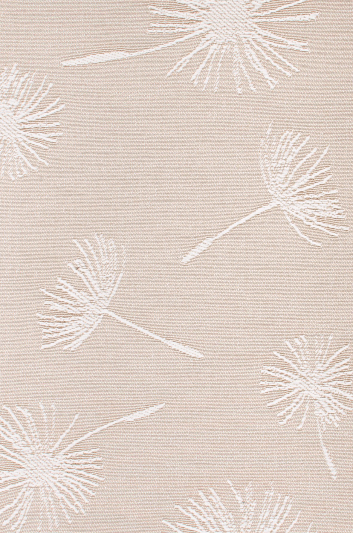 Neutex for you! Dekokissen »Fresh« Kissenhülle ohne Füllung, 1 Stück