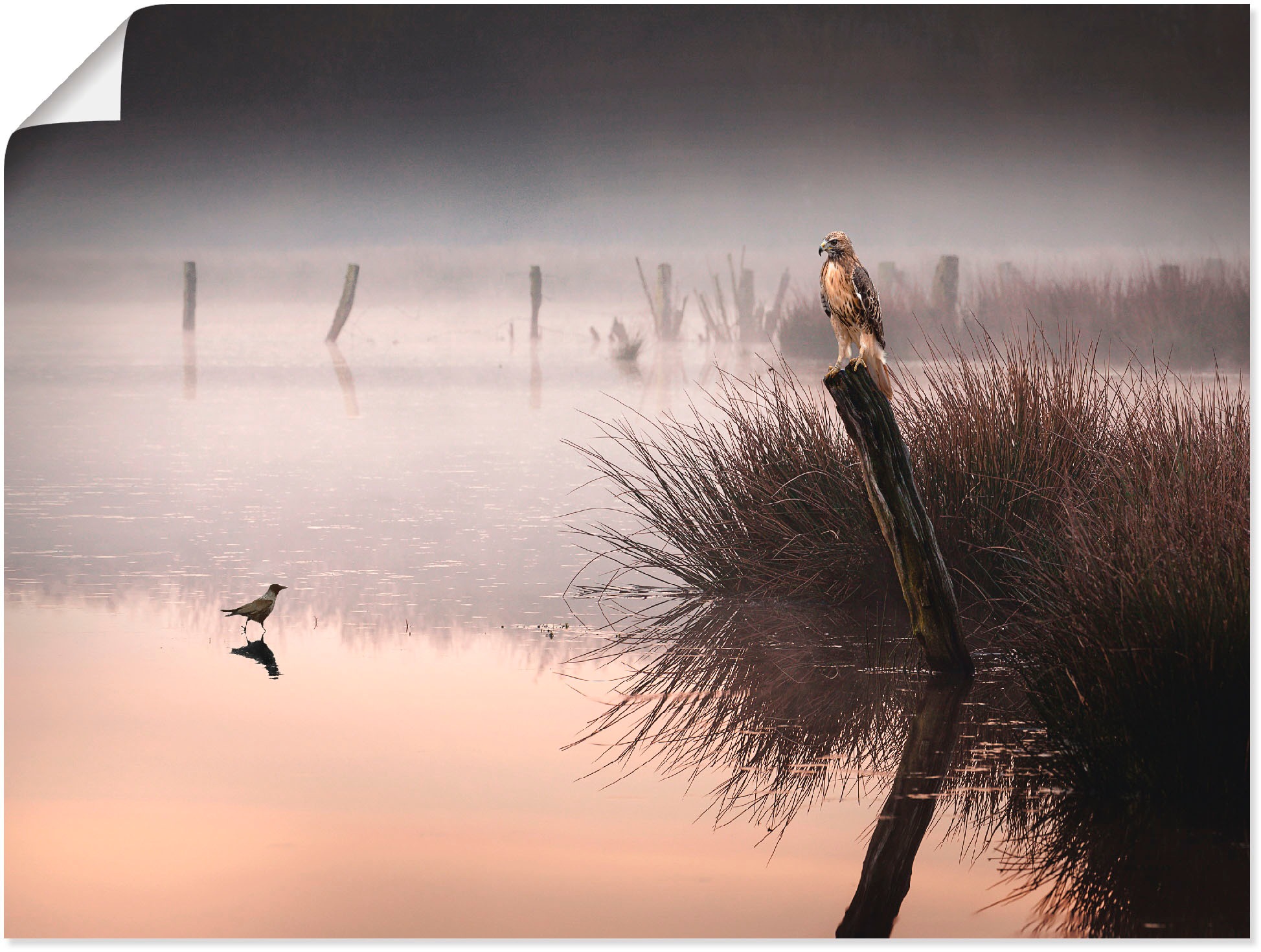 Image of Artland Wandbild »Mutprobe«, Gewässer, (1 St.), in vielen Grössen & Produktarten -Leinwandbild, Poster, Wandaufkleber / Wandtattoo auch für Badezimmer geeignet bei Ackermann Versand Schweiz