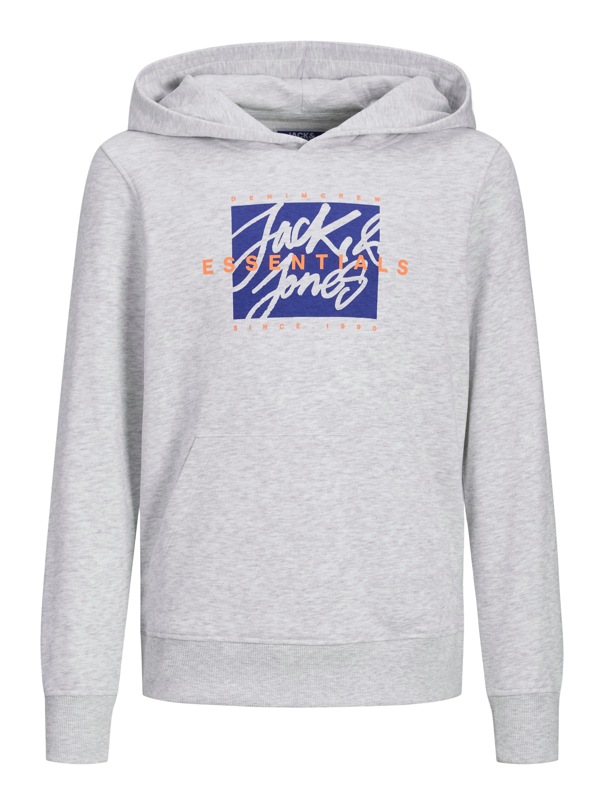 Jack & Jones Junior Kapuzensweatshirt »JJCOLTON SWEAT HOOD JNR«