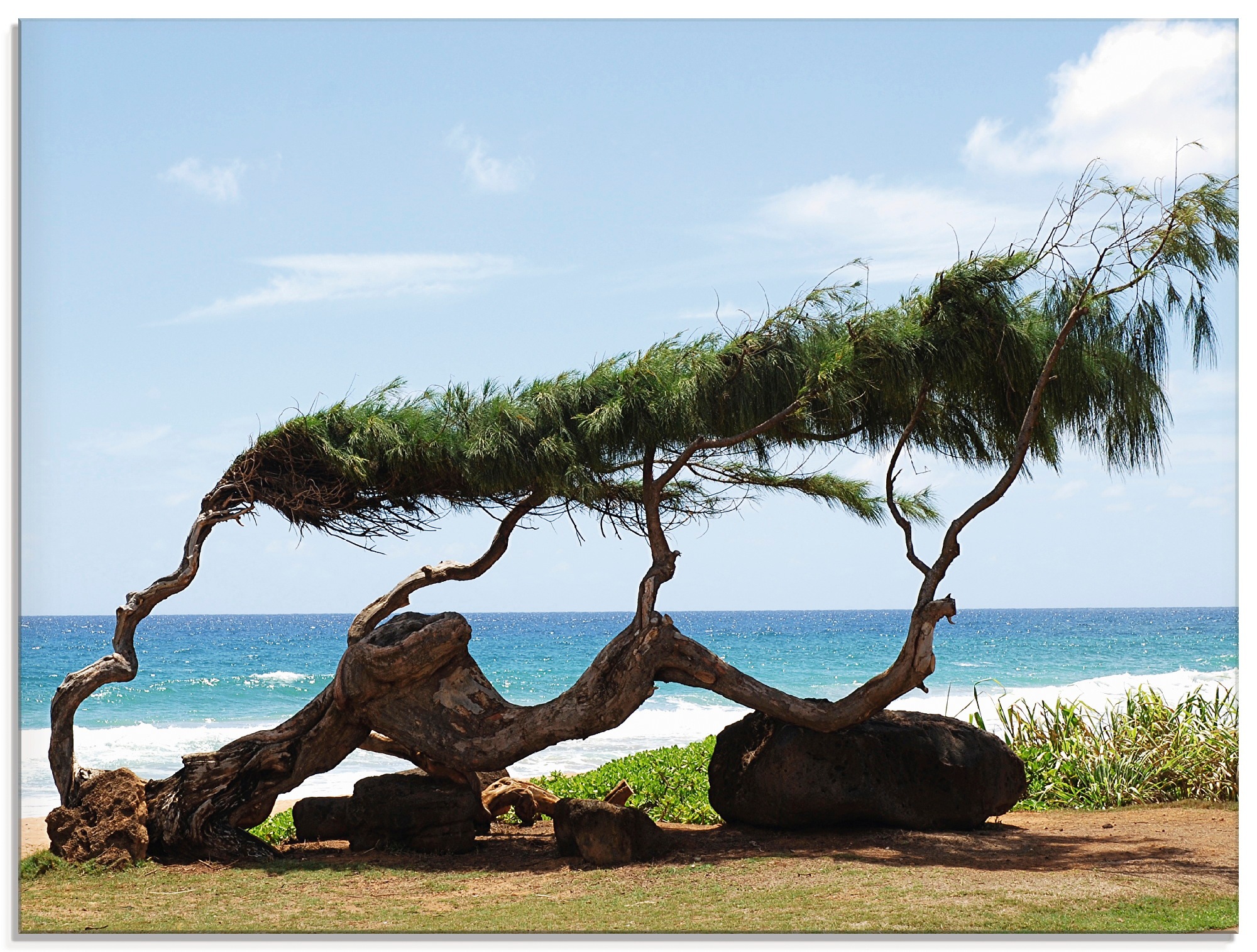 Image of Artland Glasbild »Landschaft, Hawaii«, Strand, (1 St.) bei Ackermann Versand Schweiz