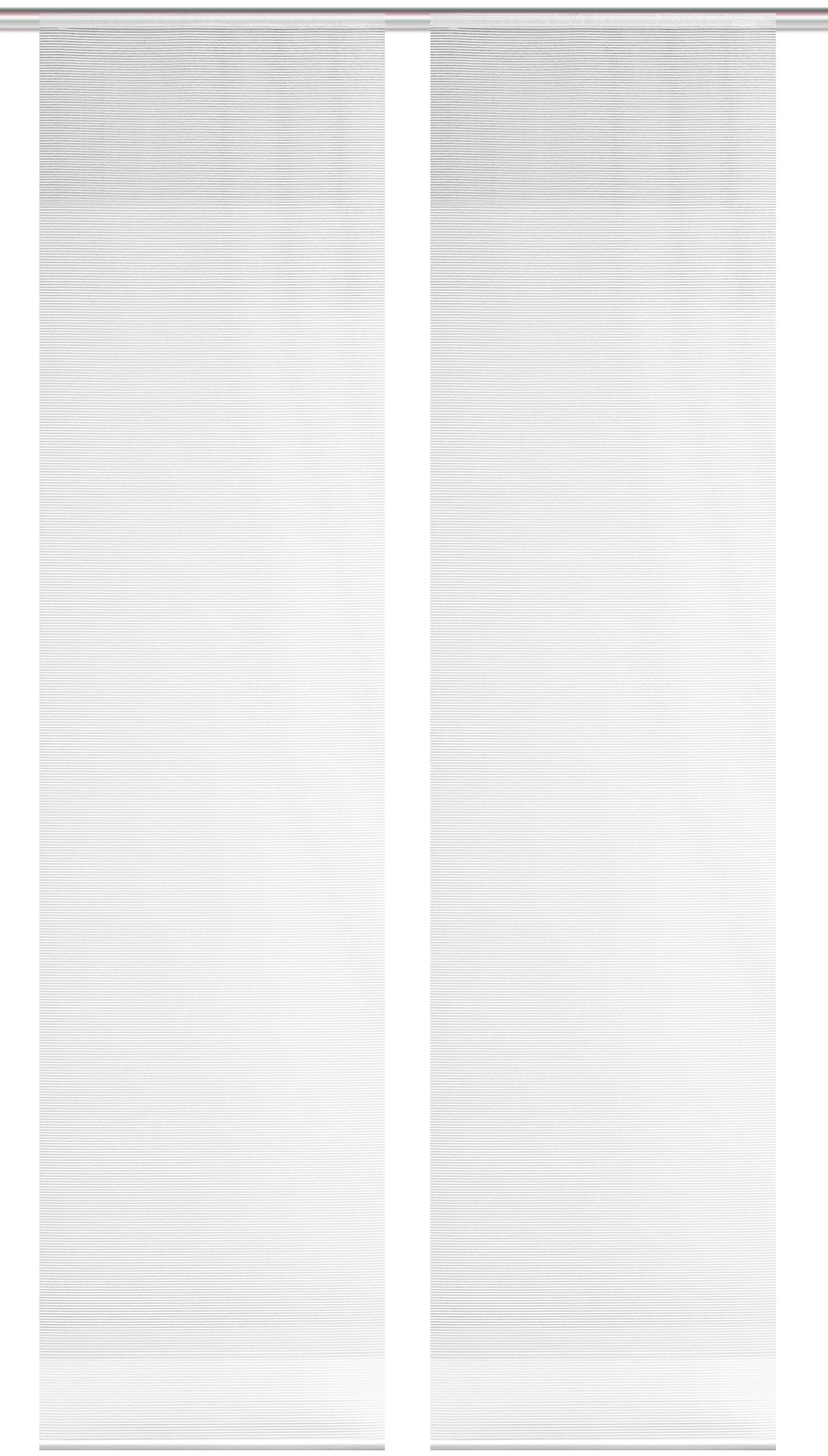 Image of Vision S Schiebegardine »2ER SET ROM«, (2 St.), HxB: 260x60, Schiebevorhang 2er Set Uni bei Ackermann Versand Schweiz