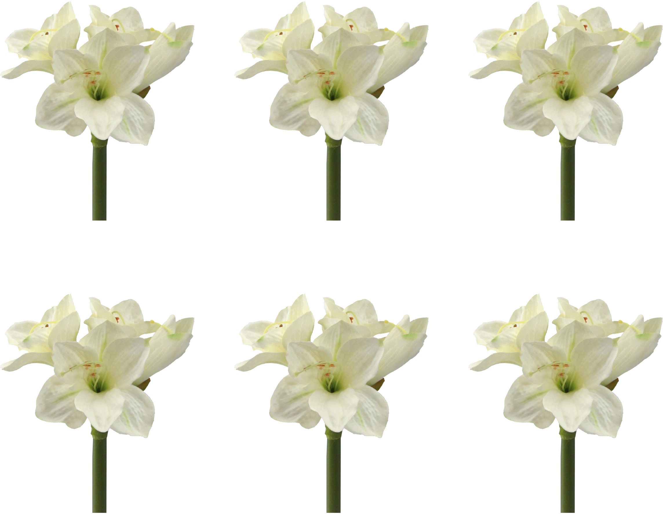 Image of Creativ green Kunstblume, (6 St., 6 Stück), jeder Stiel hat 3 Blüten und 1 Knospe bei Ackermann Versand Schweiz