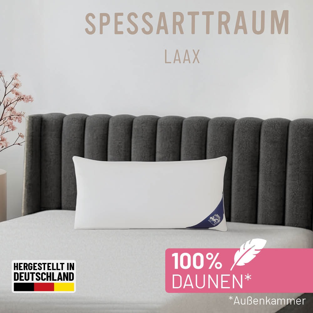 Image of SPESSARTTRAUM 3-Kammer-Kopfkissen "Laax Kissen 40x80 cm & 80x80 cm" Füllung: 100% Daunen 1 Stk. tlg. 3-Kammerkissen weich und stützend