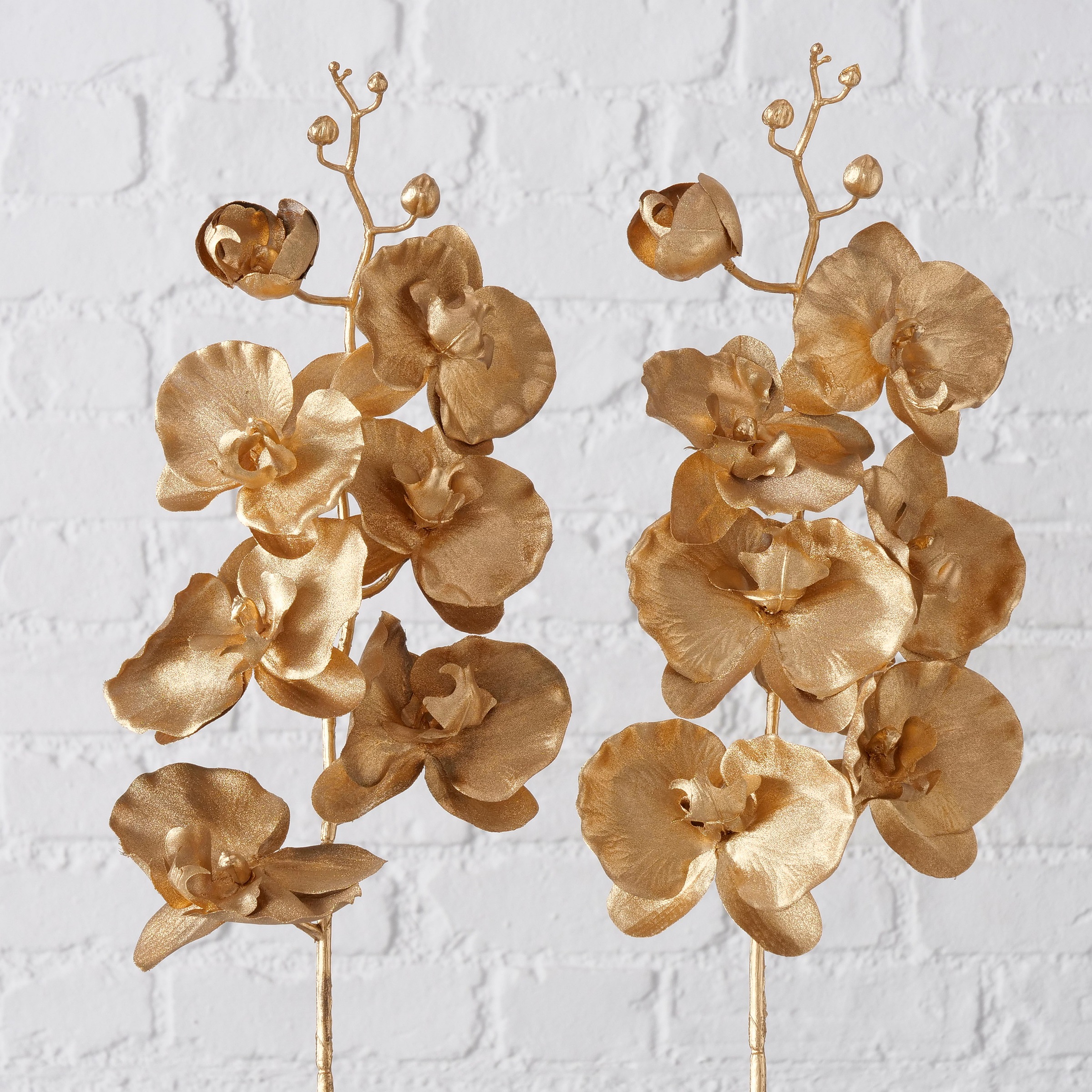 Image of Leonique Trockenblume »Elinara«, (Set, 2 St.), Orchidee, Höhe 80cm, 2er Set bei Ackermann Versand Schweiz