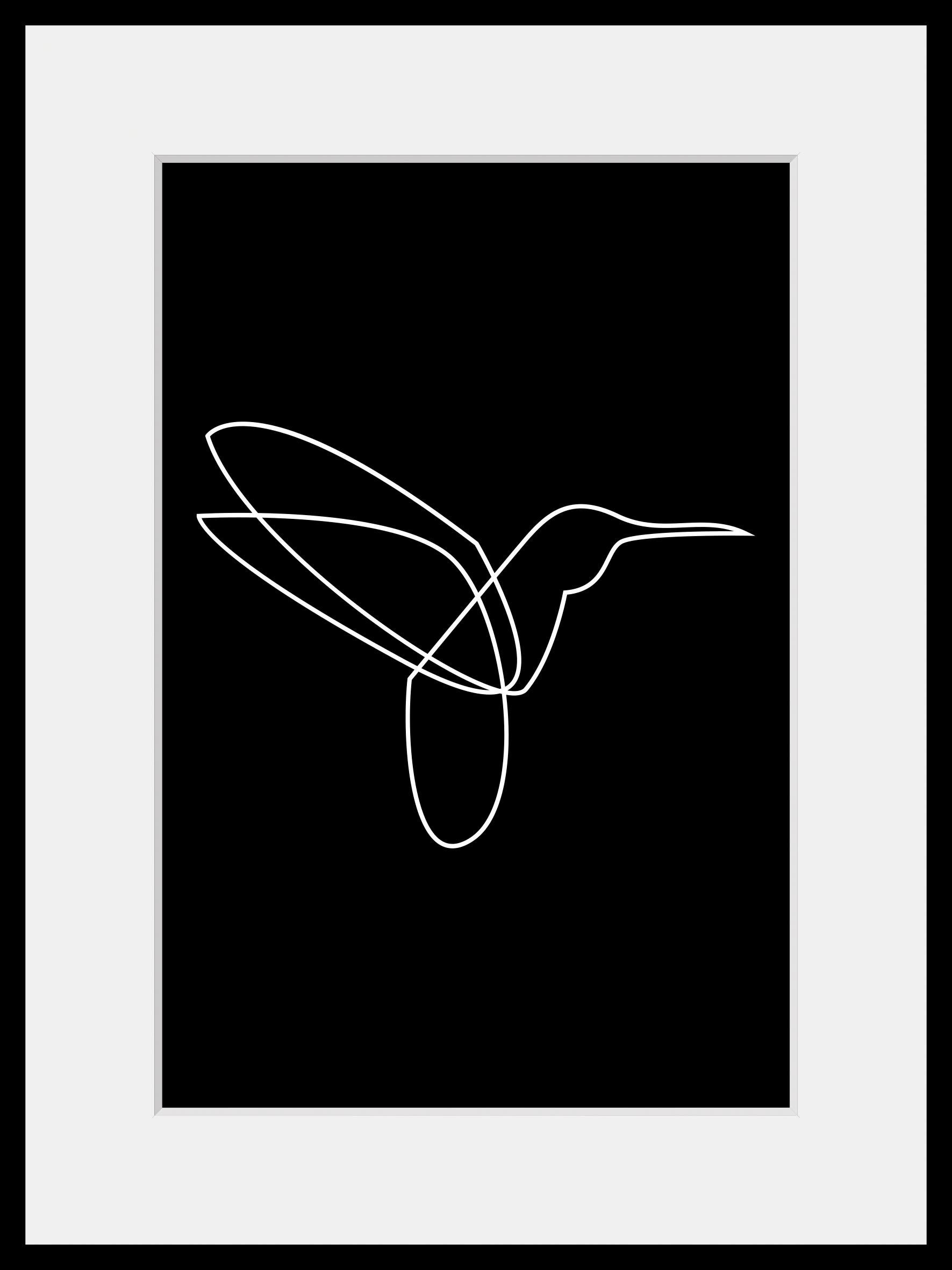 queence Bild »Flash«, Kunst-Schwarz-Weiss-Vögel-Vogelbilder, (1 St.), HD Premium Poster-Druck inkl. Holzrahmen