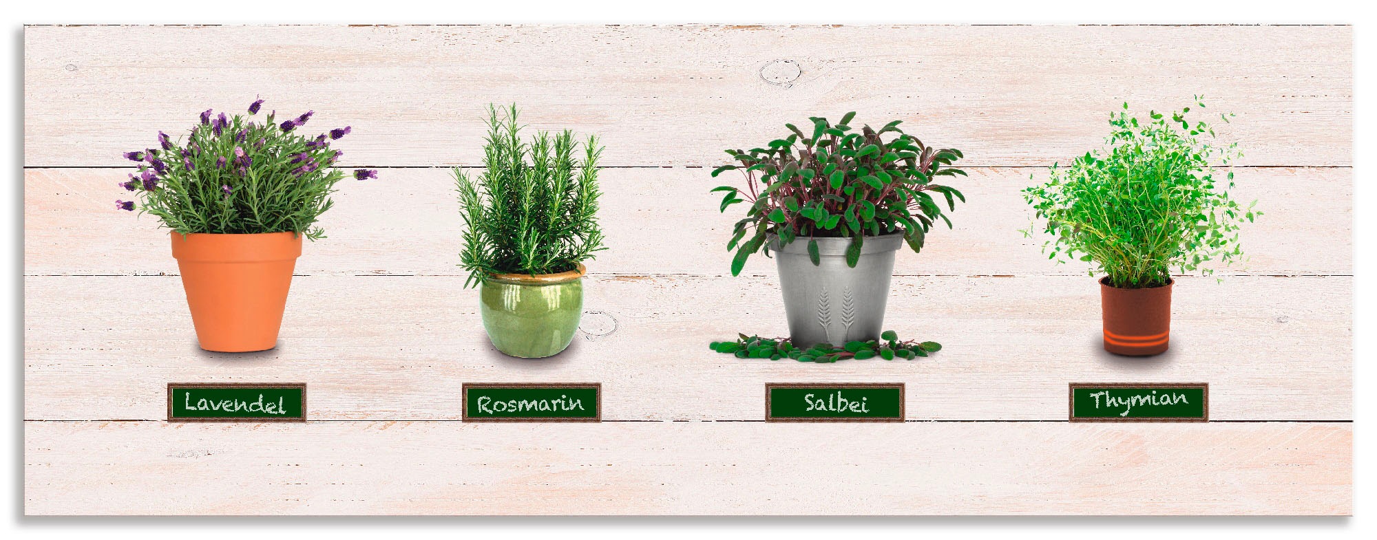 Image of Artland Küchenrückwand »Lavendel Salbei Thymian Rosmarin Kräuter«, (1 tlg.), selbstklebend in vielen Grössen - Spritzschutz Küche hinter Herd u. Spüle als Wandschutz vor Fett, Wasser u. Schmutz - Rückwand, Wandverkleidung aus Alu bei Ackermann Versand Sch