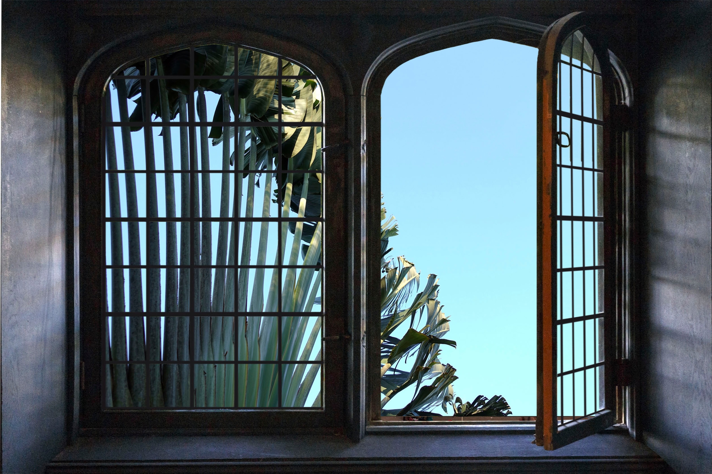Image of queence Wandsticker "Palme" Wandsticker, Wandbild, selbstklebend, 3D, Fenster