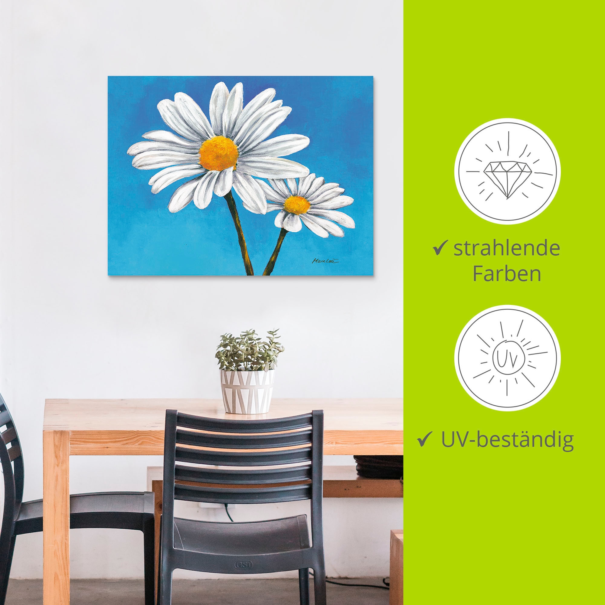 Artland Wandbild »Margeriten auf Blau«, Blumen, (1 St.), als Alubild, Outdoorbild, Leinwandbild in verschied. Grössen