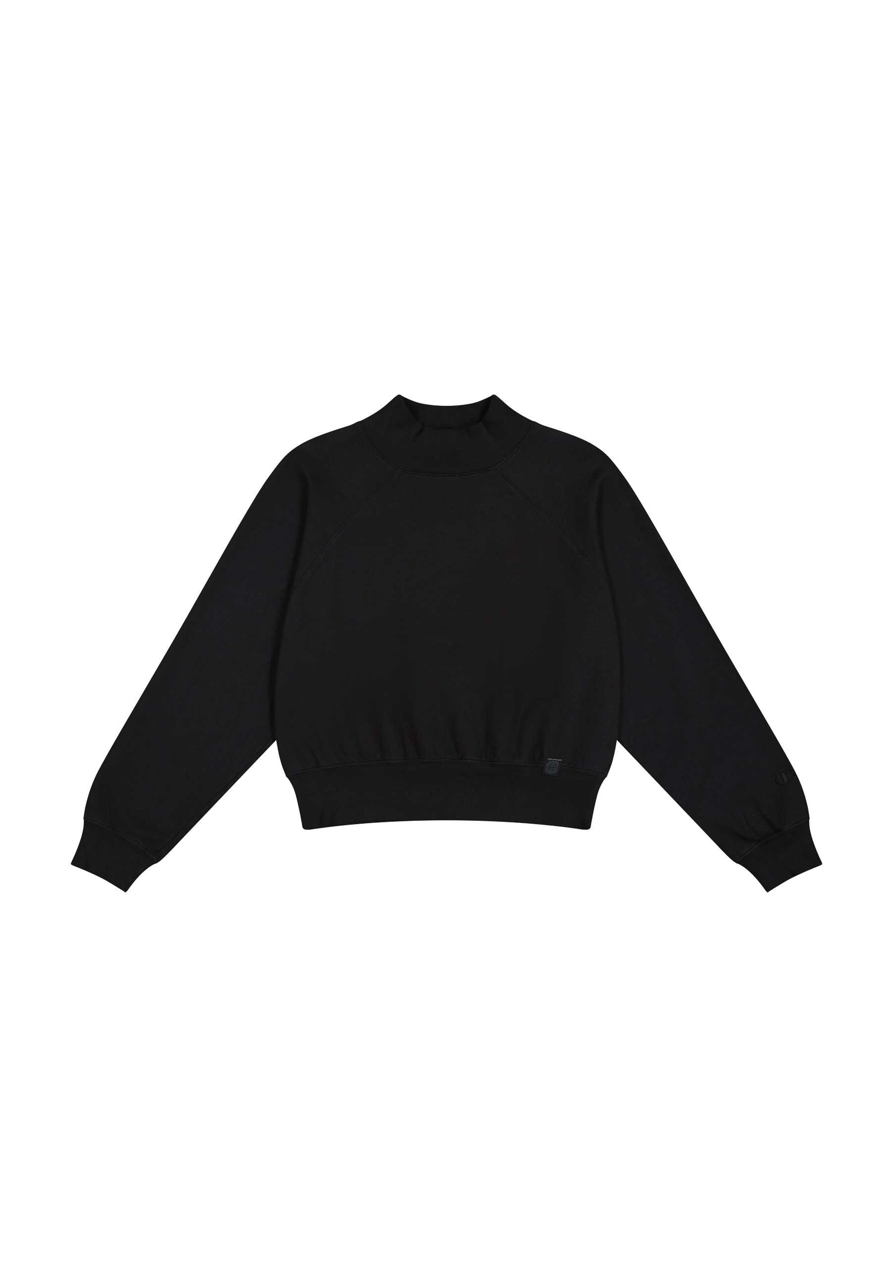 Champion Sweatshirt