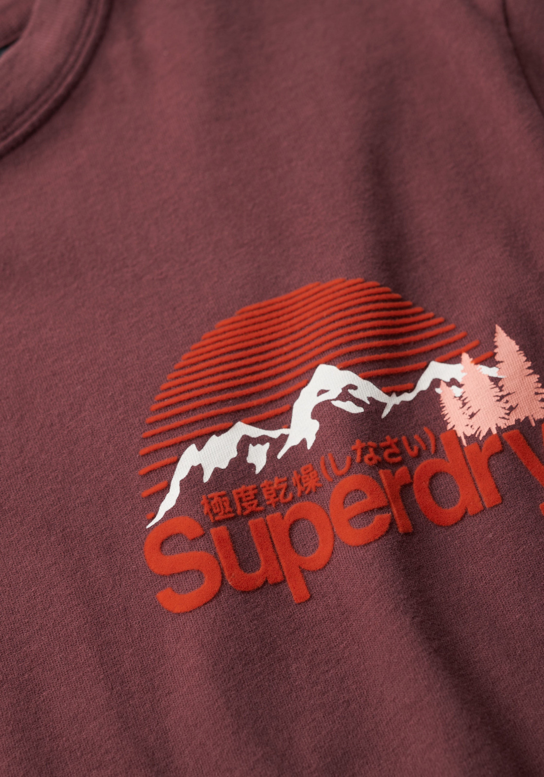 Superdry Rundhalsshirt »GREAT OUTDOOR CHEST GRAPHC TEE«