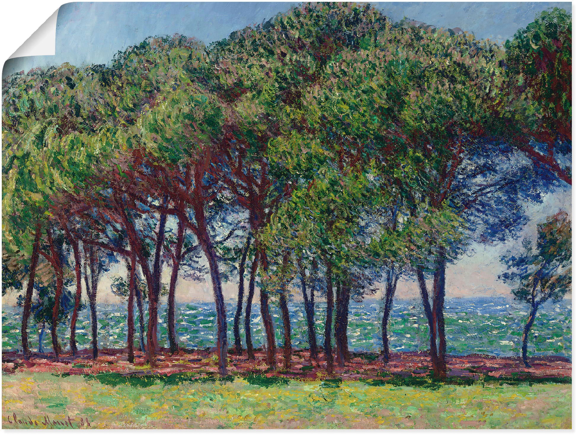 Image of Artland Wandbild »Kiefern am Cap d'Antibes. 1888«, Blumen, (1 St.), in vielen Grössen & Produktarten -Leinwandbild, Poster, Wandaufkleber / Wandtattoo auch für Badezimmer geeignet bei Ackermann Versand Schweiz