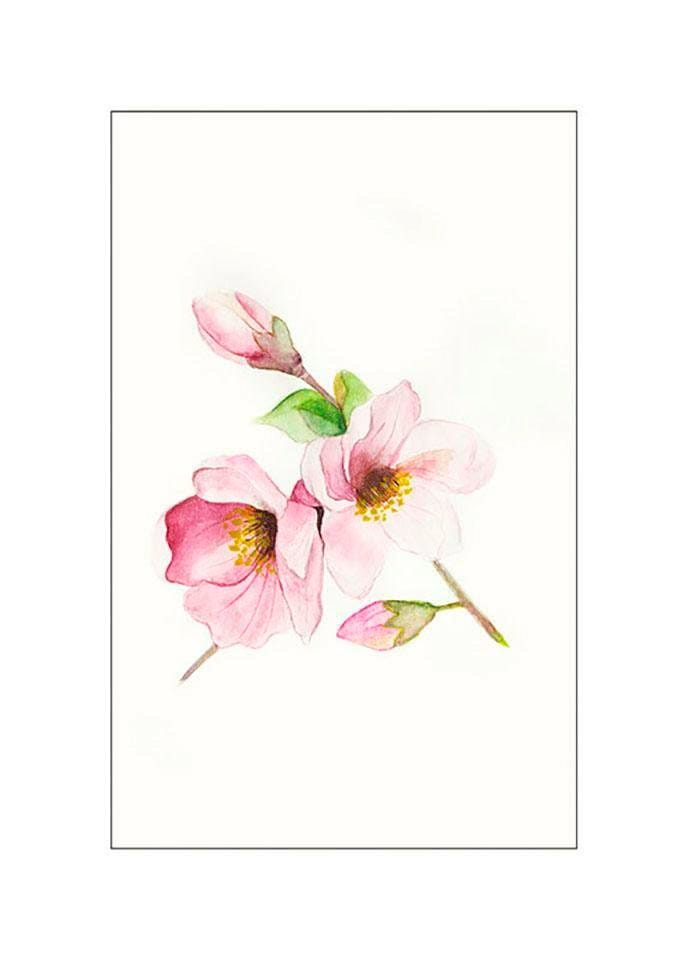 Image of Komar Bild "Magnolia Breathe" Blumen 1 Stk. tlg. Wandbild zur Dekoration - ohne Rahmen