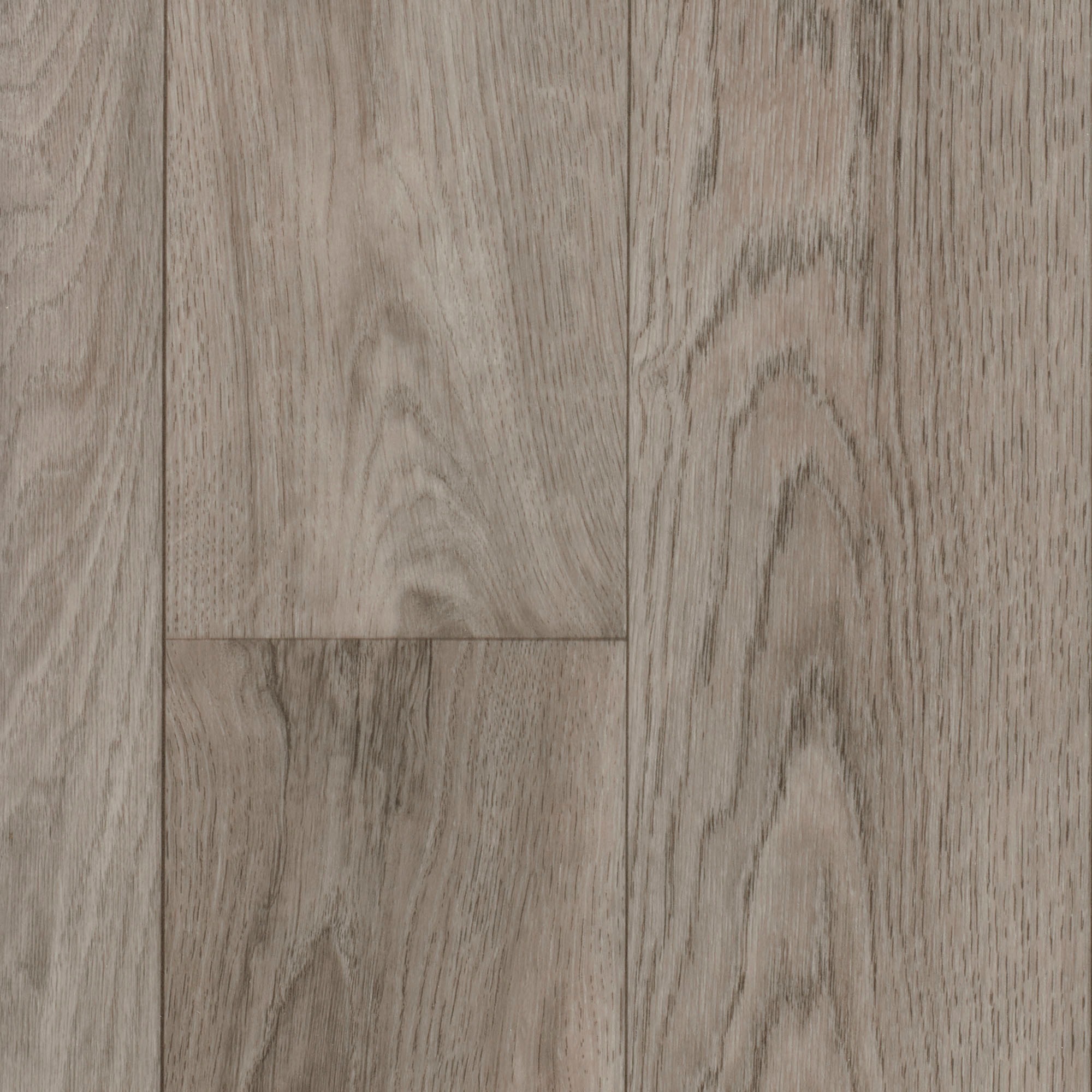 Image of Bodenmeister Vinylboden »PVC Bodenbelag Holzoptik Diele Eiche hell creme grau«, Meterware, Breite 200/300/400 cm bei Ackermann Versand Schweiz