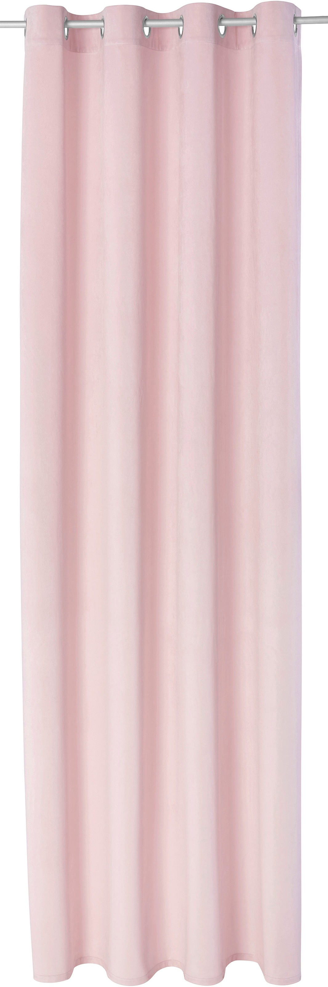 Image of Home affaire Vorhang »Brighton«, (2 St.), Samt, blickdicht bei Ackermann Versand Schweiz