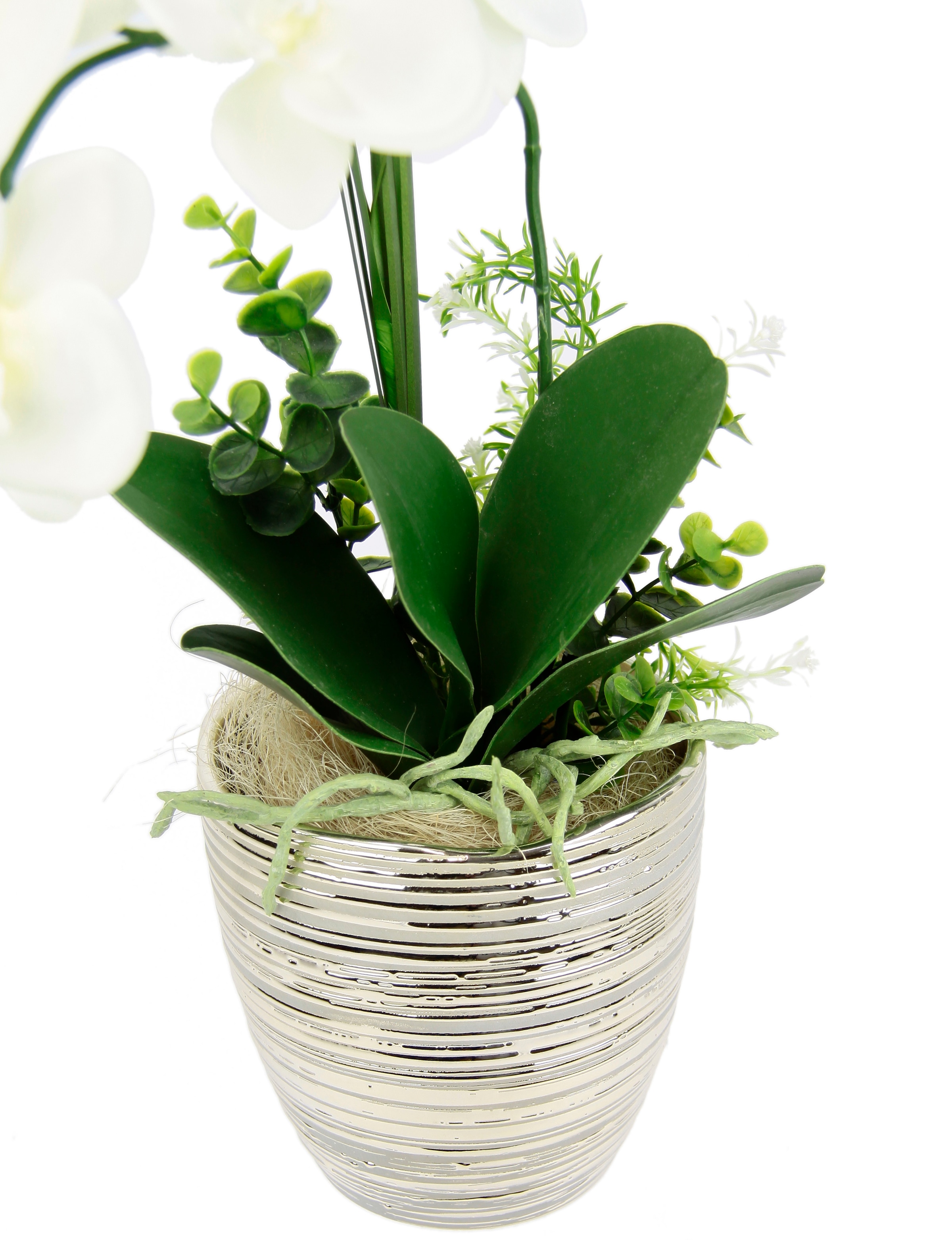 I.GE.A. Kunstblume »Arrangement Orchidee/Gras«, Topf aus Keramik