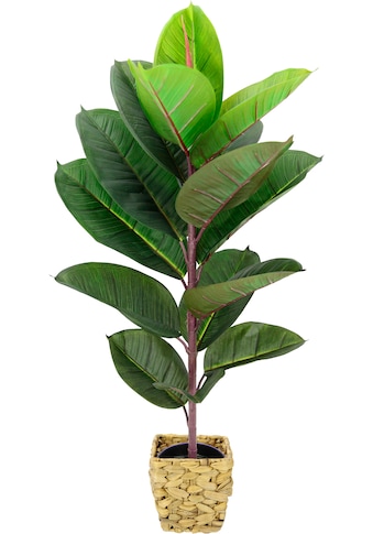 I.GE.A. Kunstbaum »Gummibaum«, Mit Übertopf, Ficus Elastica jetzt kaufen