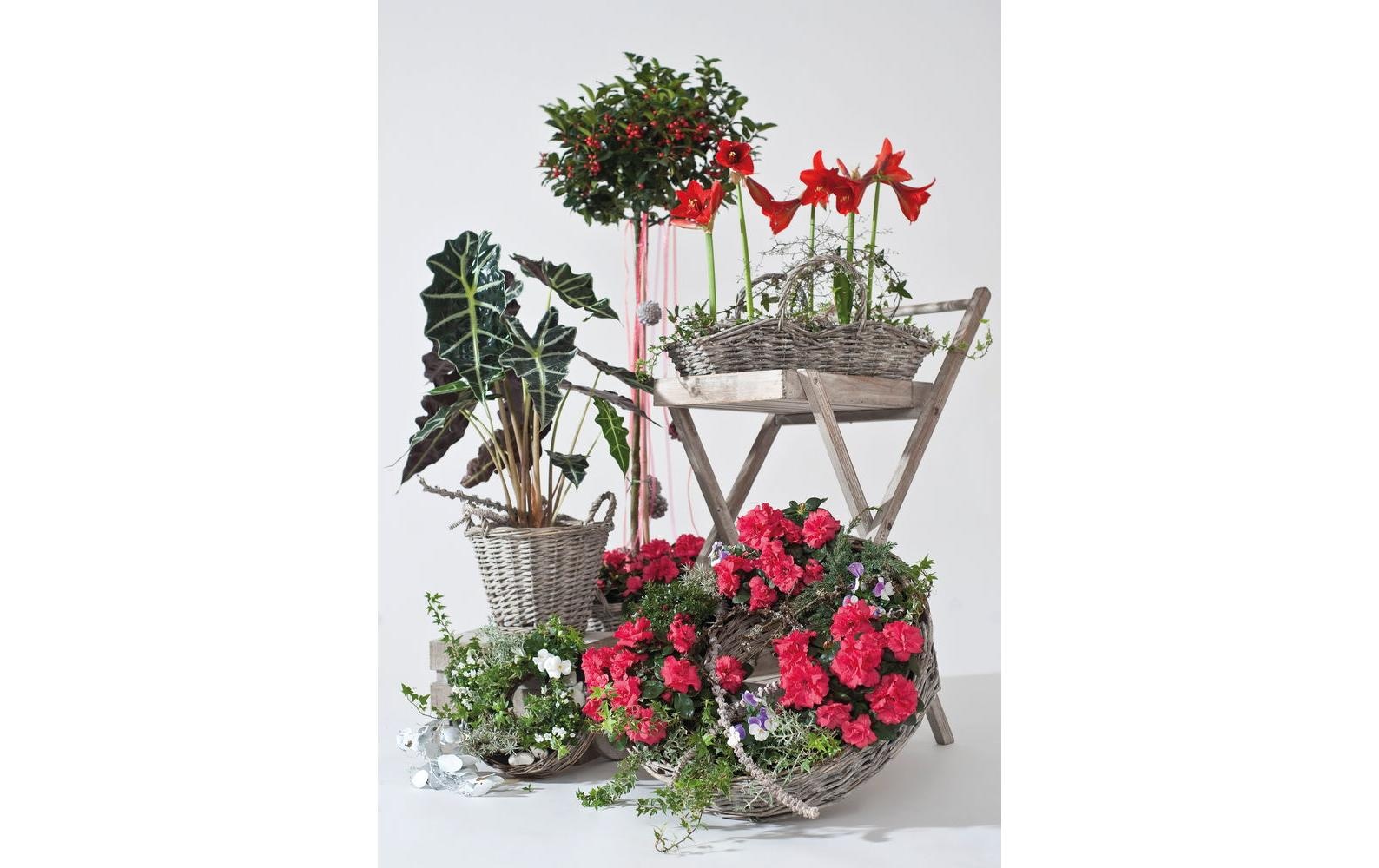 Blumentopf »Weidenkorbring Magda, 2er Set«