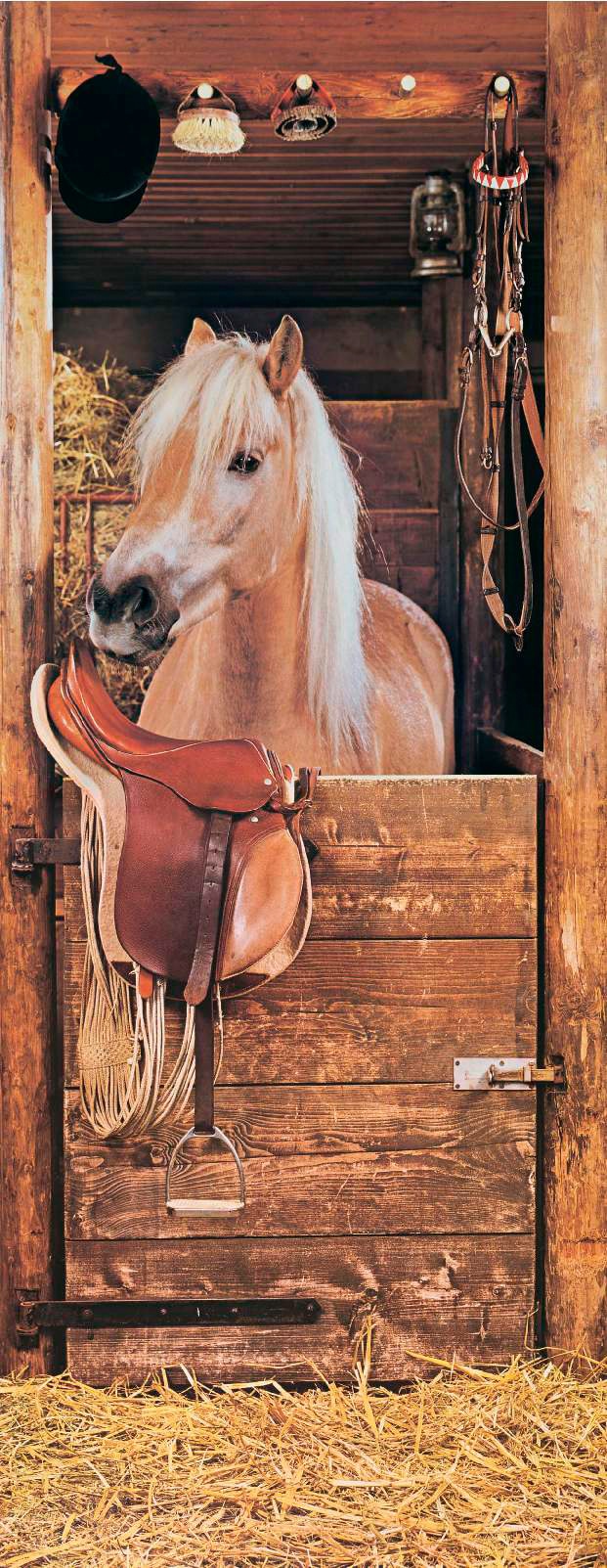Image of Papermoon Fototapete "Horse in Stable - Türtapete" matt