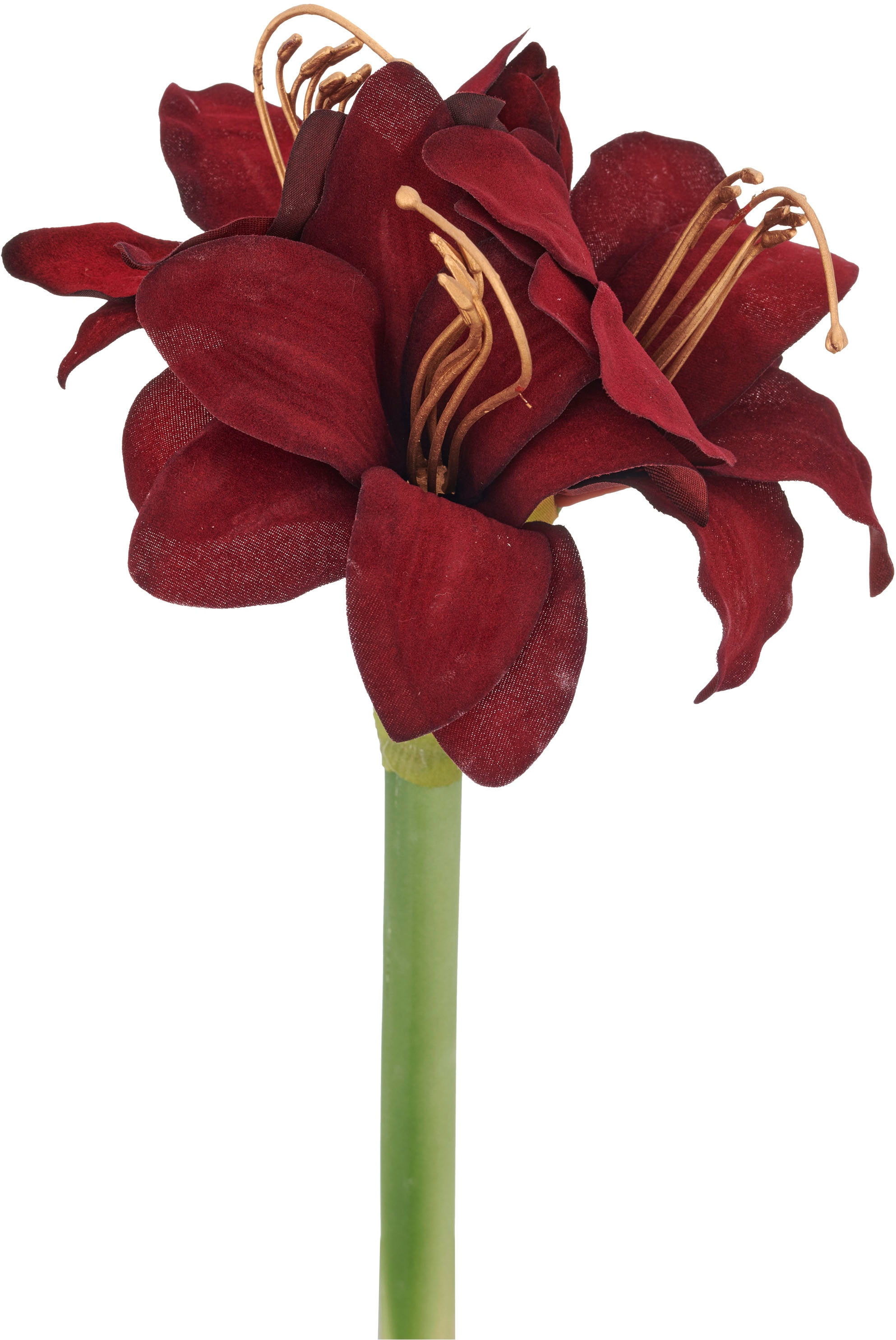 Creativ green Kunstblume »Amaryllis« mit üppiger Blütenpracht