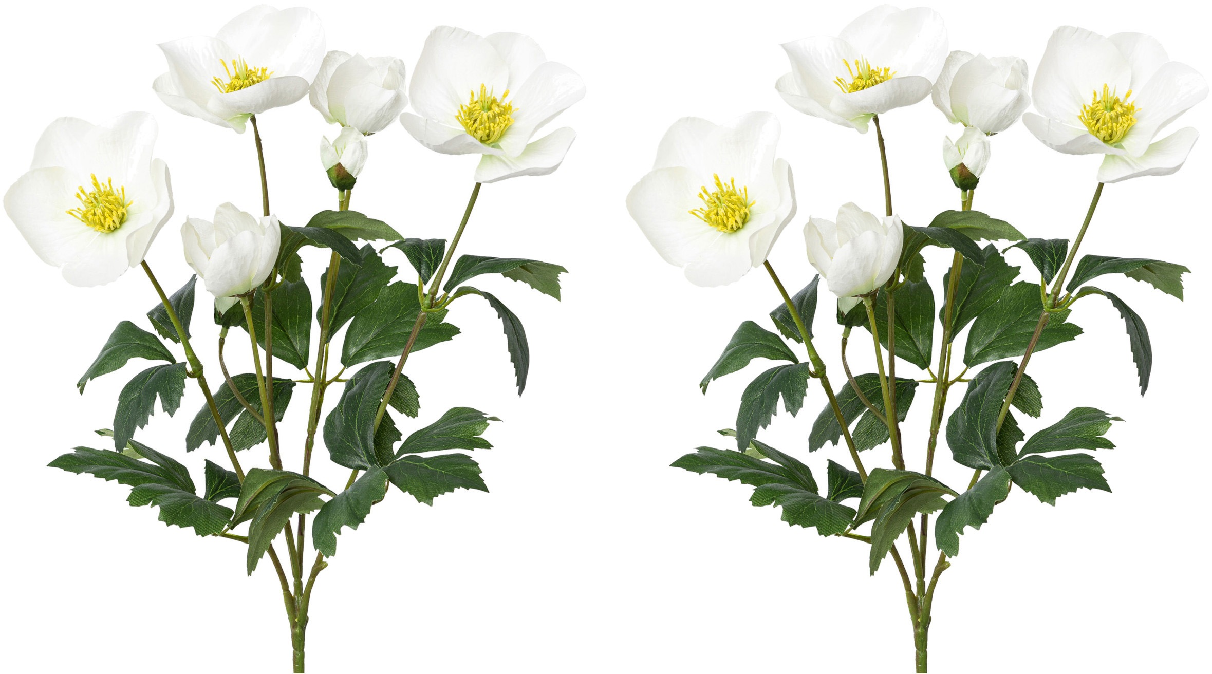 Image of Creativ green Kunstblume, (2 St., 2 Stück), mit Knospen und Blattwerk bei Ackermann Versand Schweiz