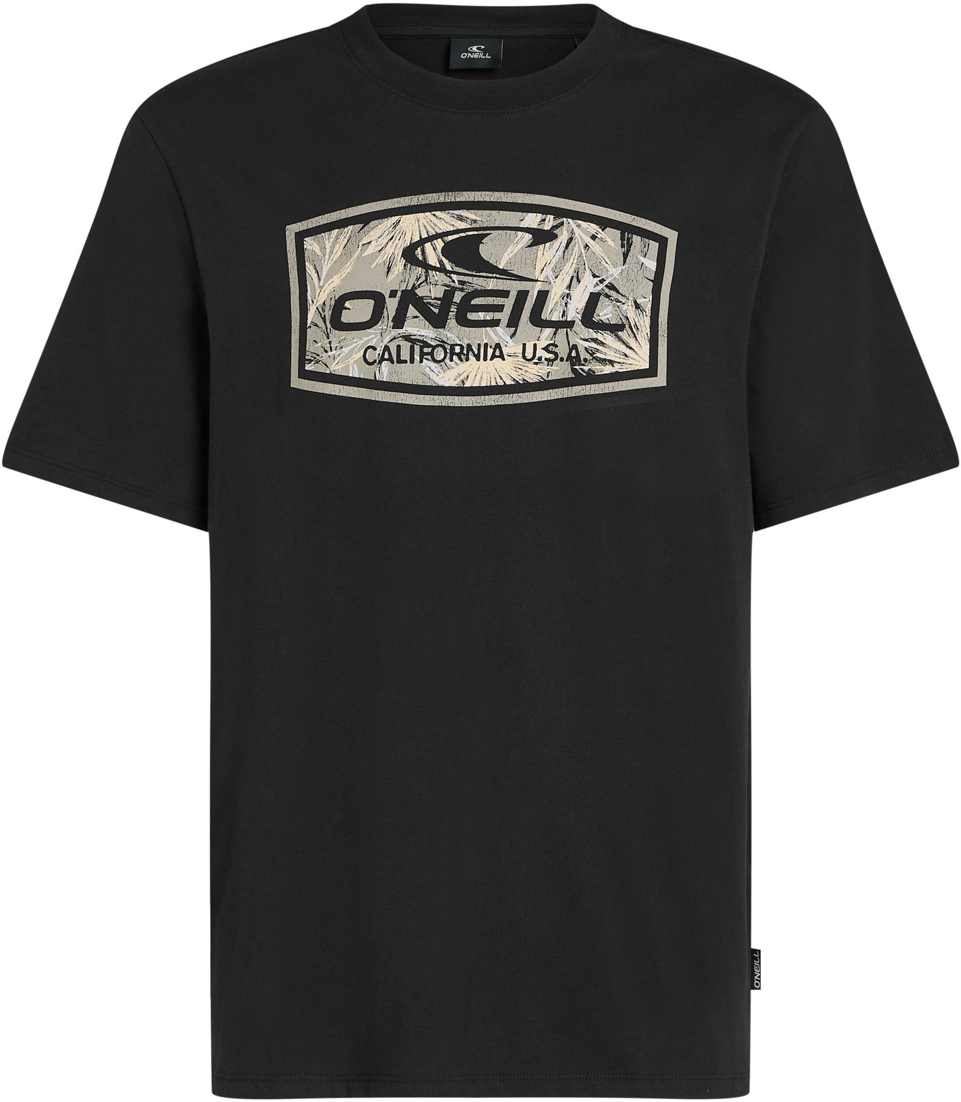 O'Neill T-Shirt »O'NEILL GRAPHIC T-SHIRT«, (1 tlg.)