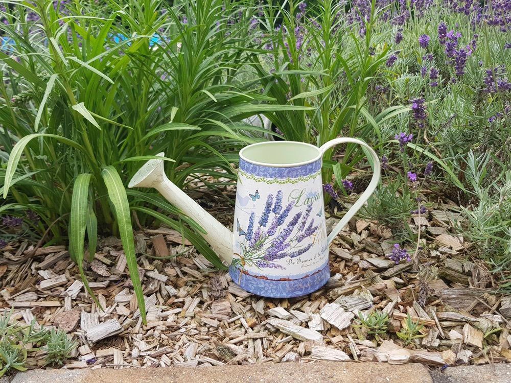 Ambiente Haus Giesskanne "Lavende l- Giesskanne"