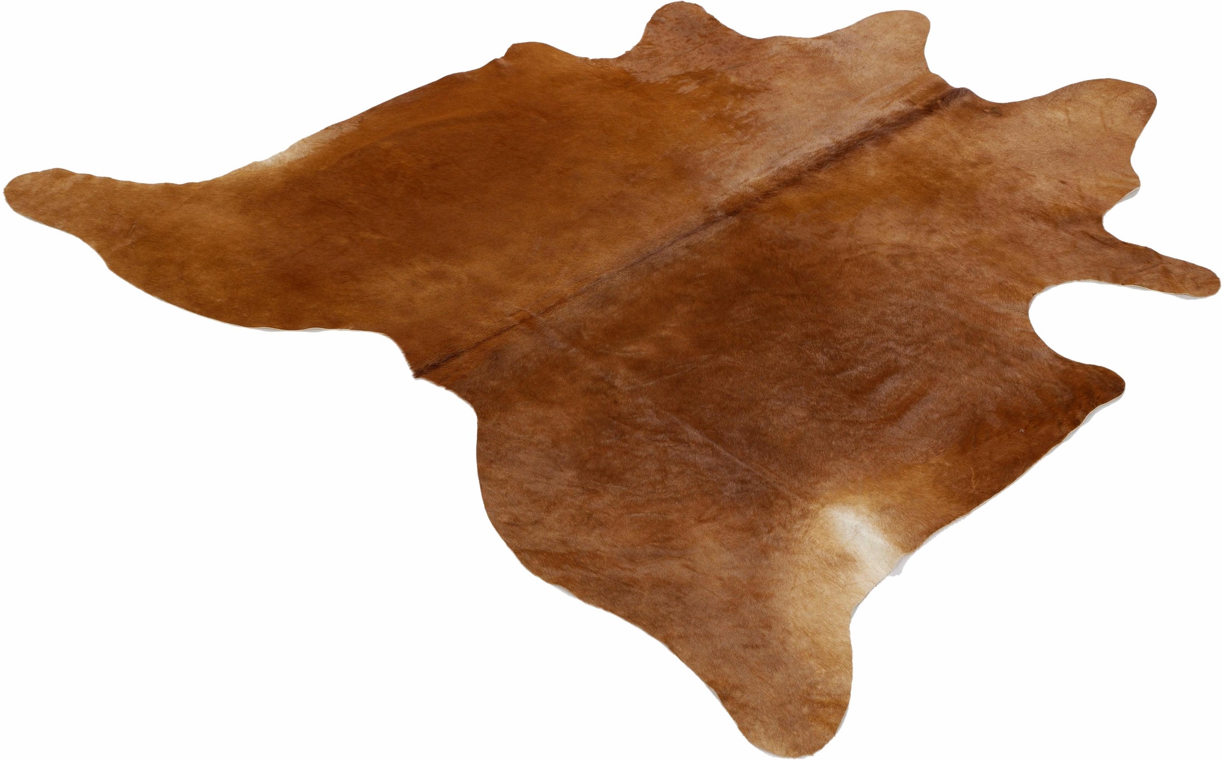 Image of Böing Carpet Fellteppich »Fell braun«, fellförmig, 4 mm Höhe, echtes Rinderfell, Naturprodukt daher ist jedes Rinderfell ein Einzelstück, Wohnzimmer bei Ackermann Versand Schweiz