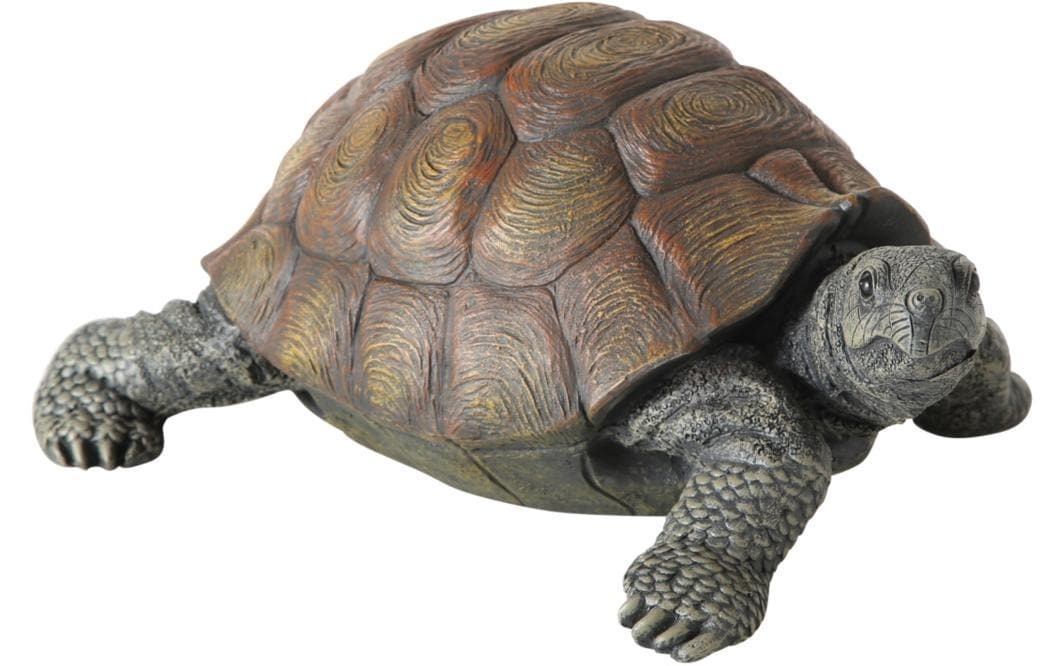 Image of BOLTZE Dekofigur "Slomo Schildkröte 25 cm x 14 cm"
