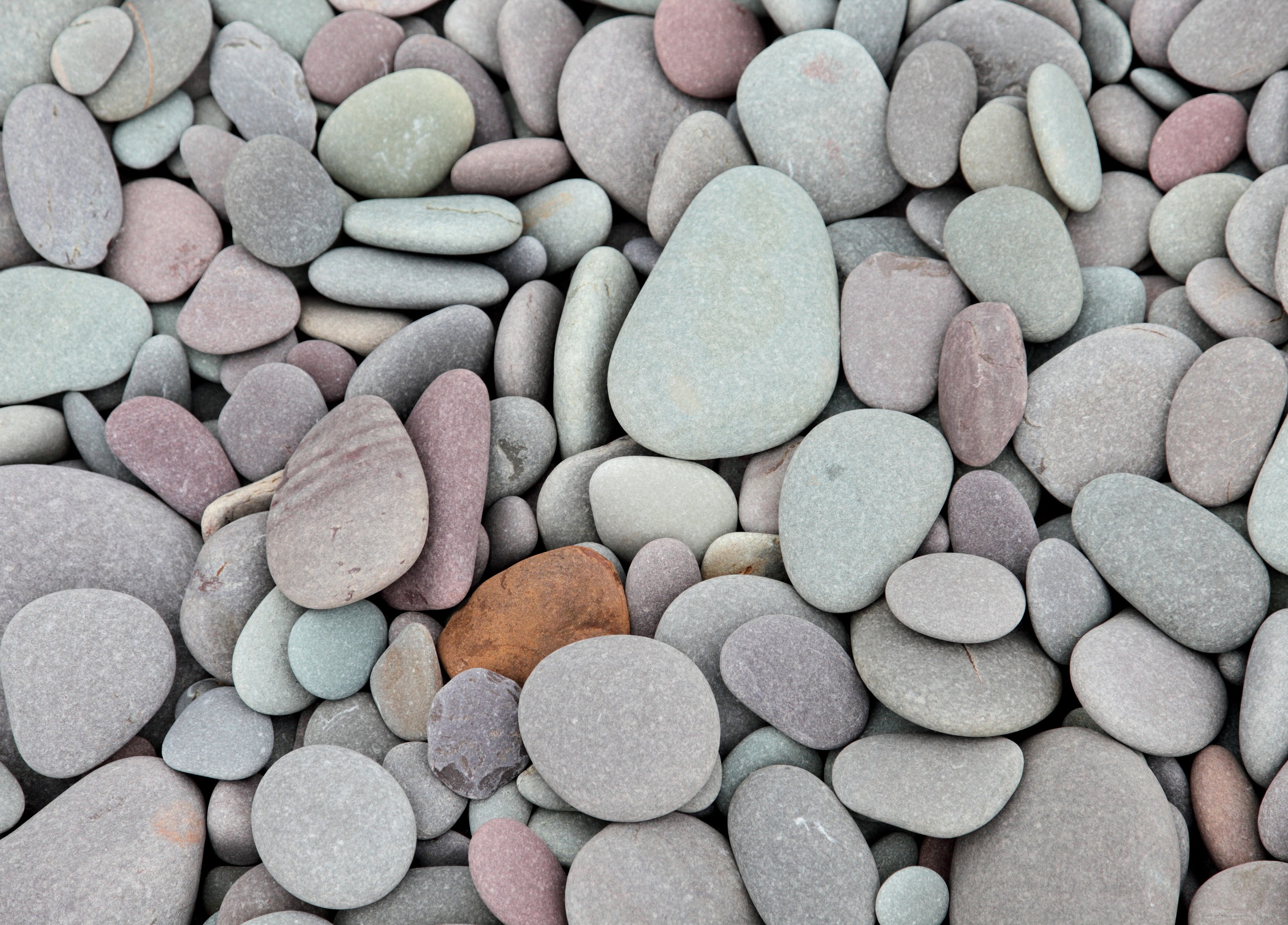 Image of Papermoon Fototapete »Pebbles« bei Ackermann Versand Schweiz